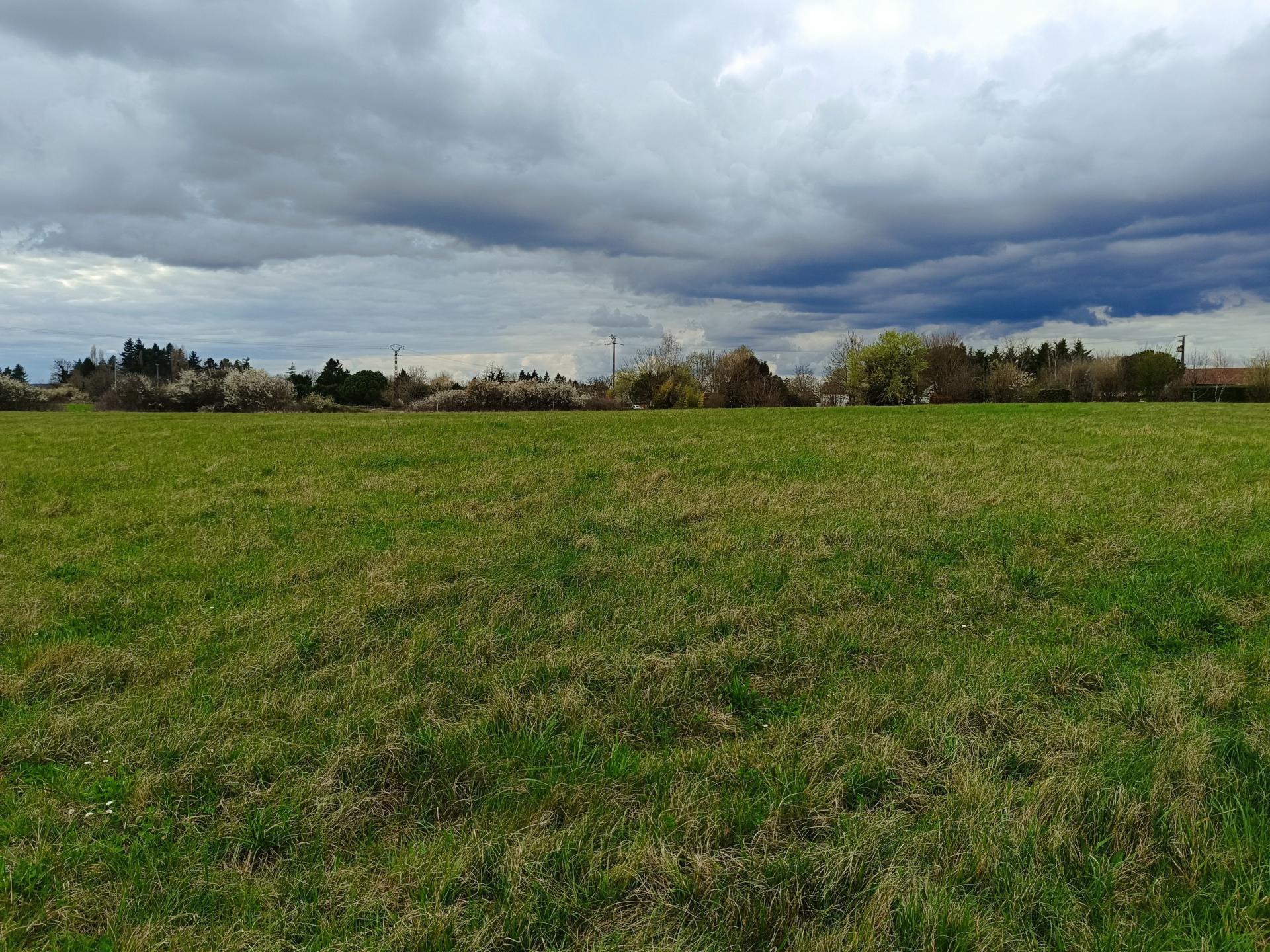 Miniature photo - 3 / 4