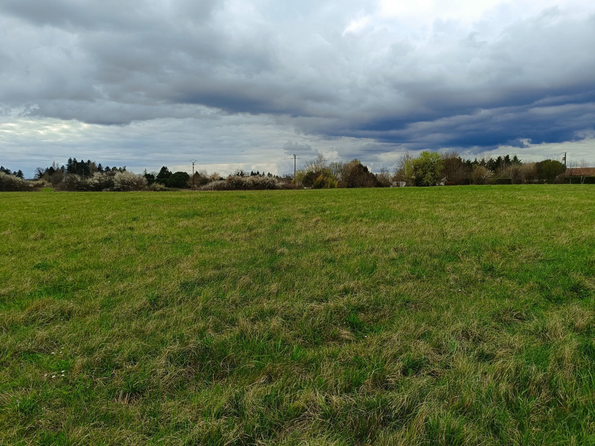 Miniature photo - 4 / 4