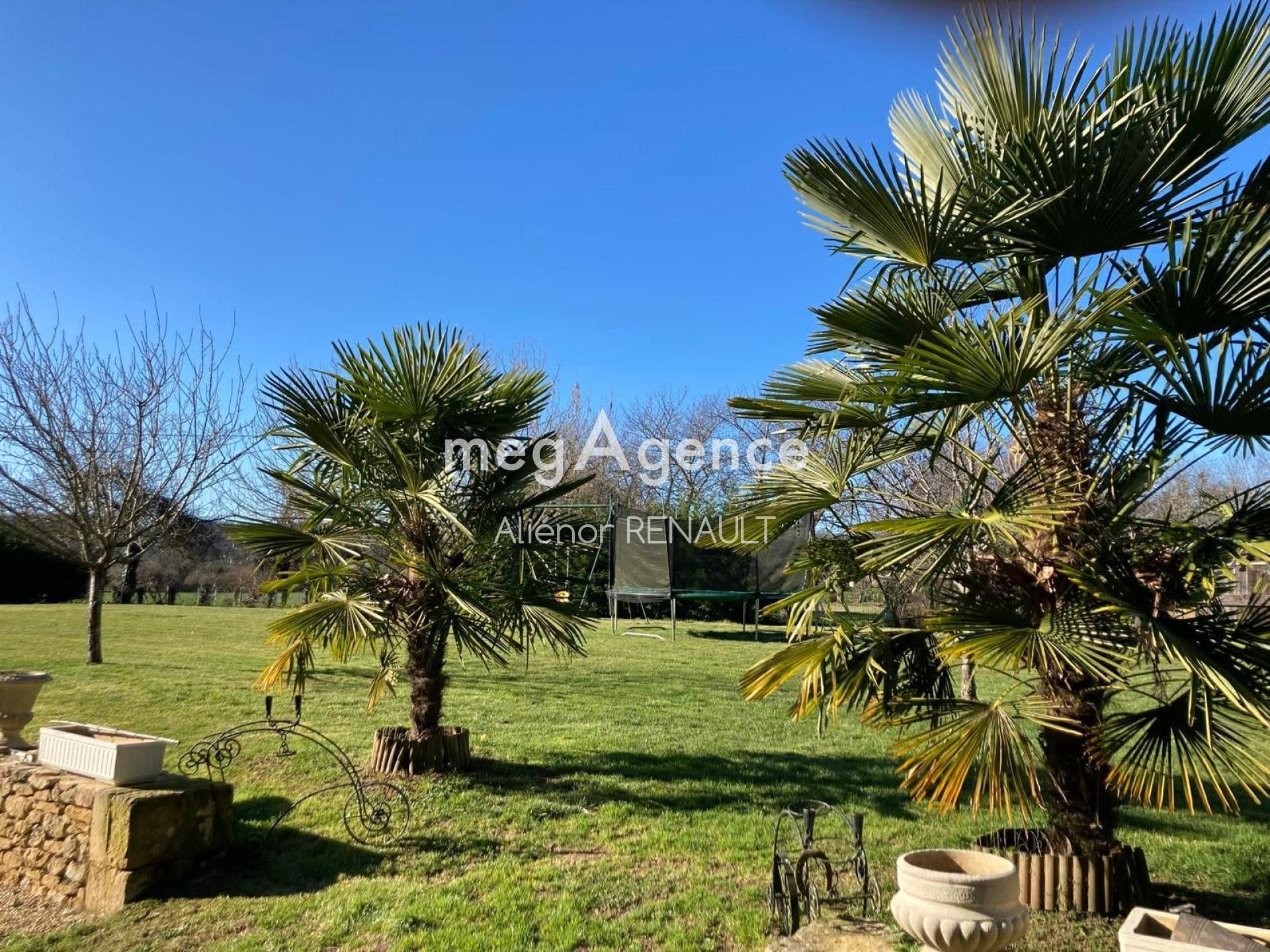 Miniature photo - 11 / 13