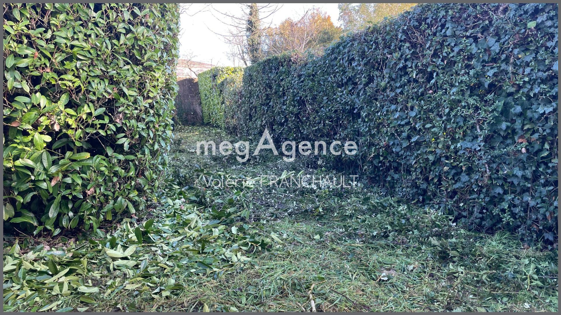 Miniature photo - 2 / 4