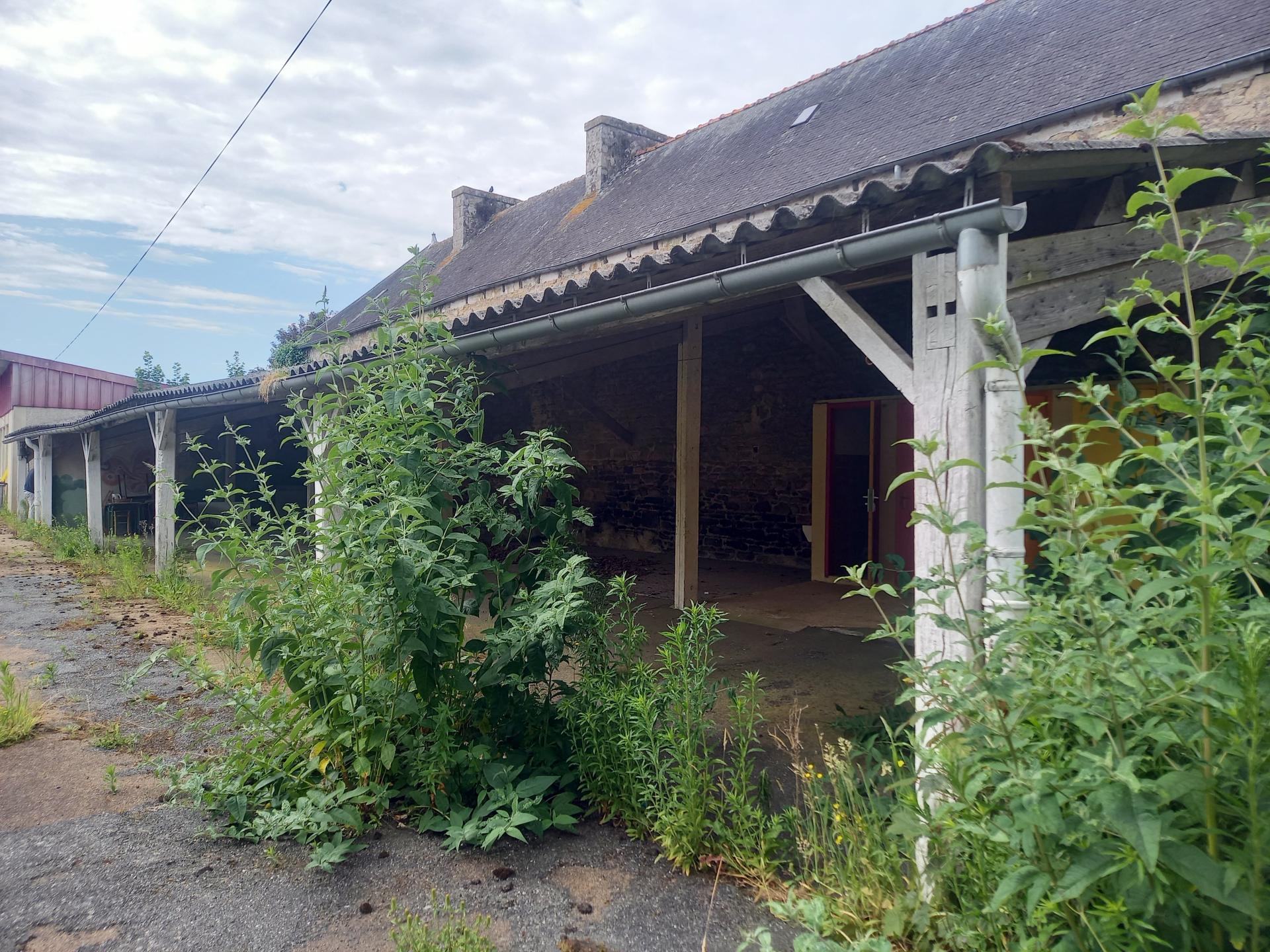 Miniature photo - 4 / 8