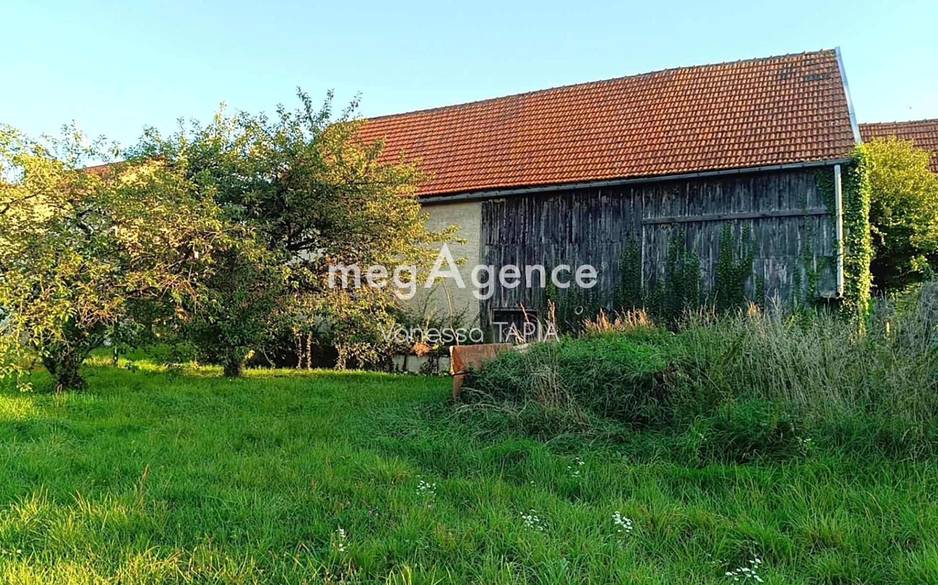 Miniature photo - 8 / 14