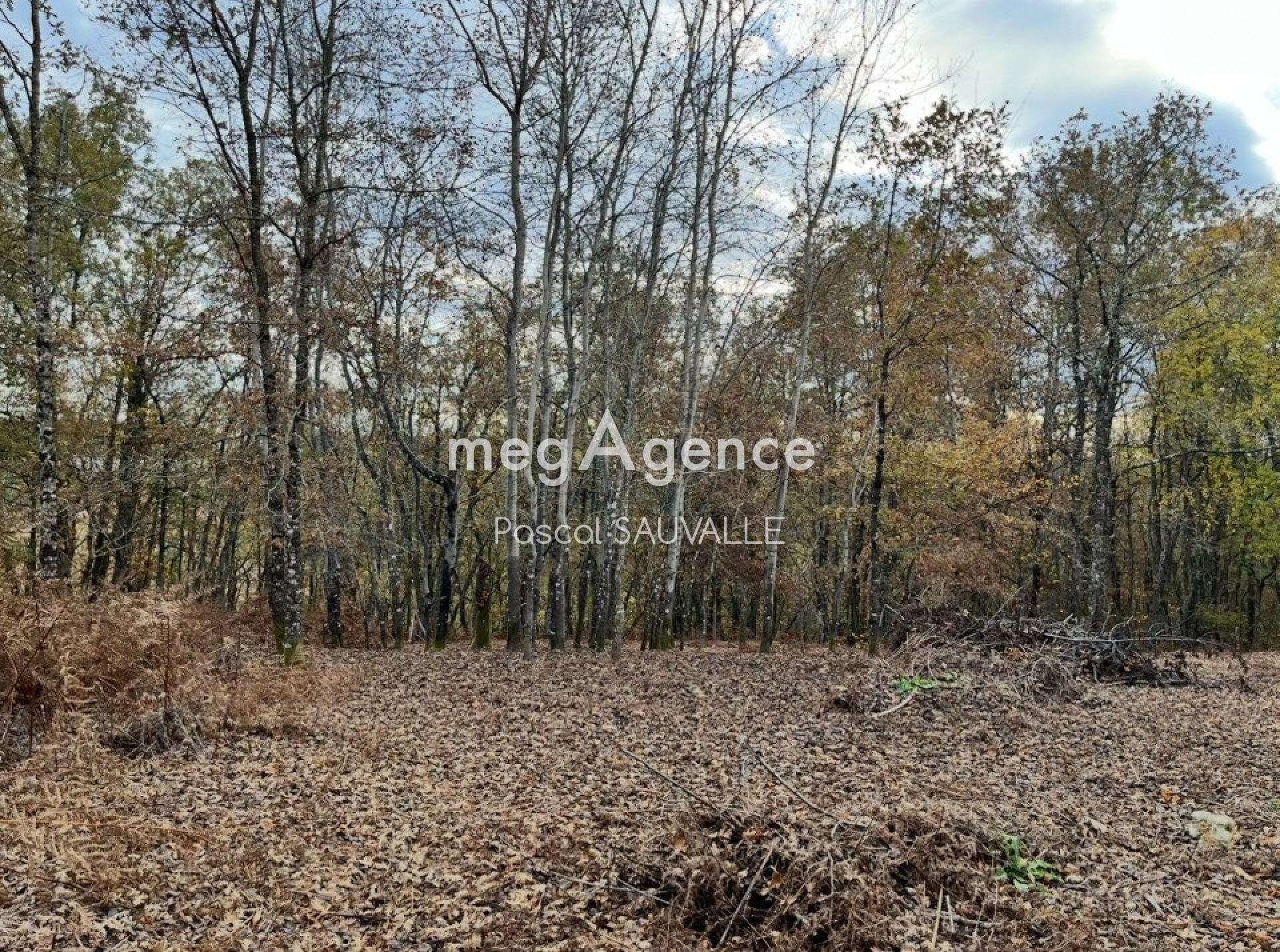 Photographie descriptive du bien