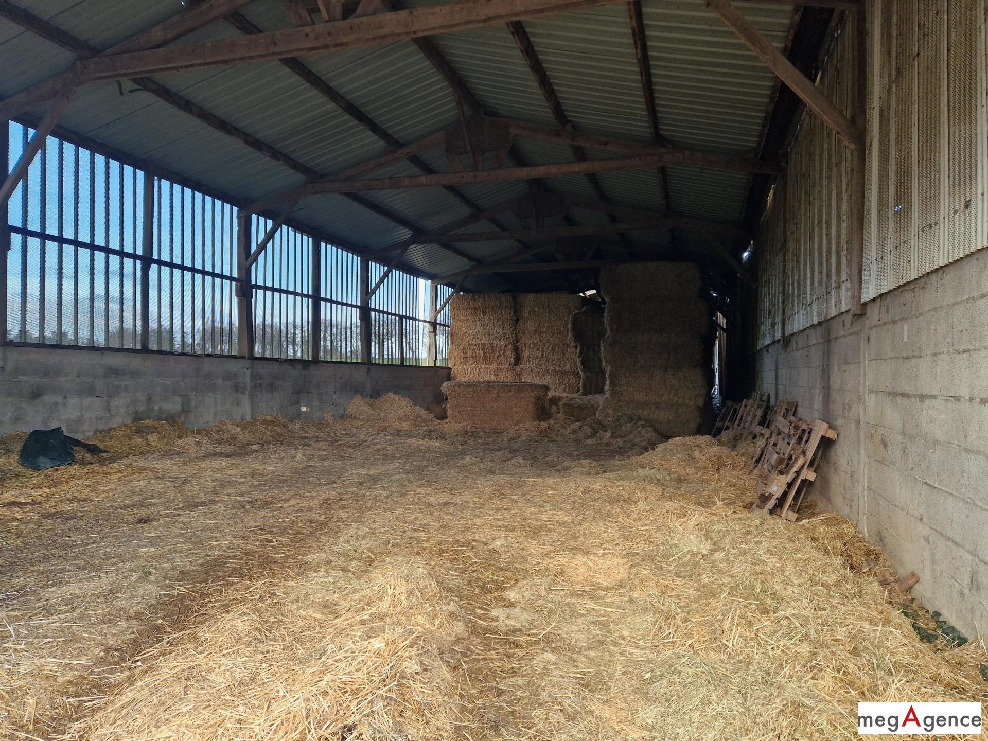 Miniature photo - 4 / 8