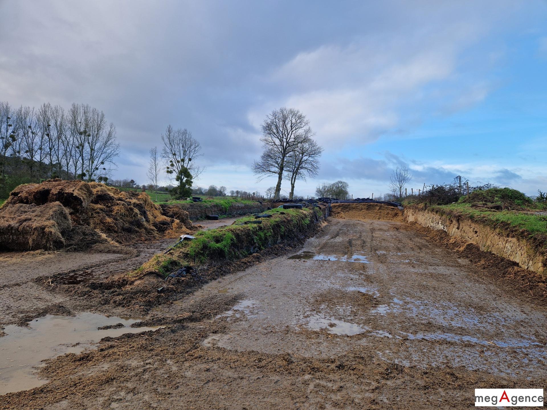 Miniature photo - 5 / 8