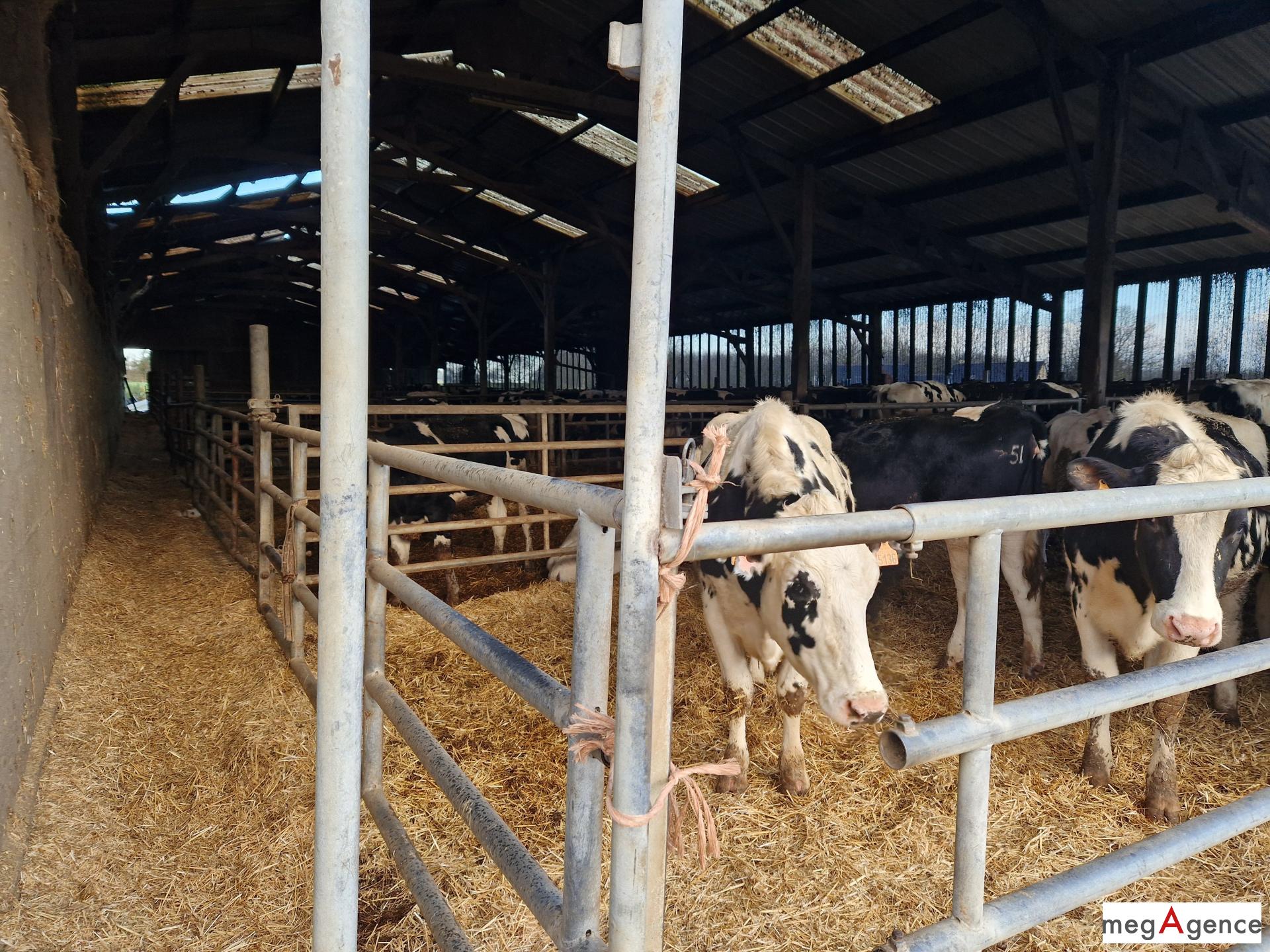 Miniature photo - 2 / 8