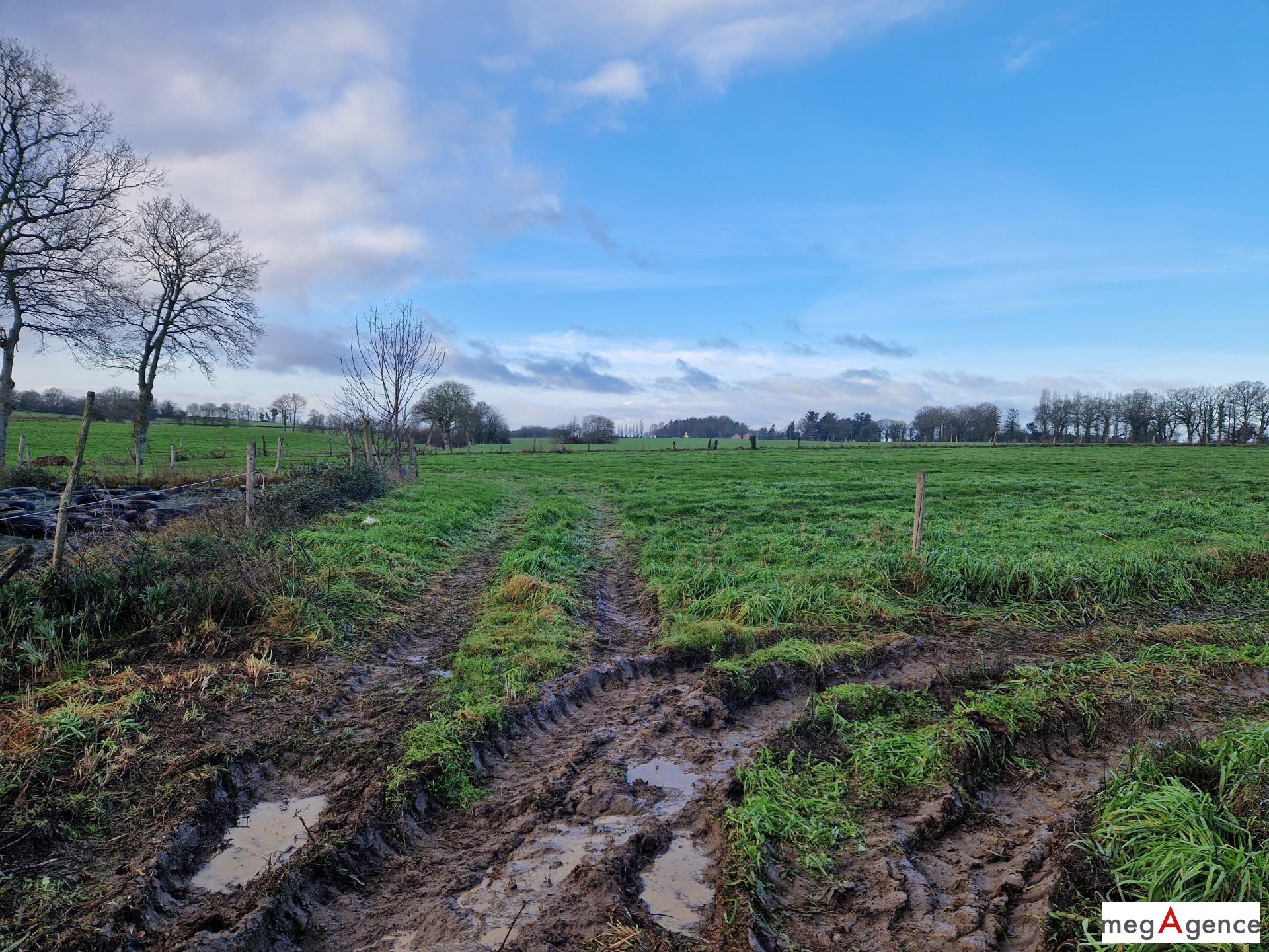 Miniature photo - 6 / 8