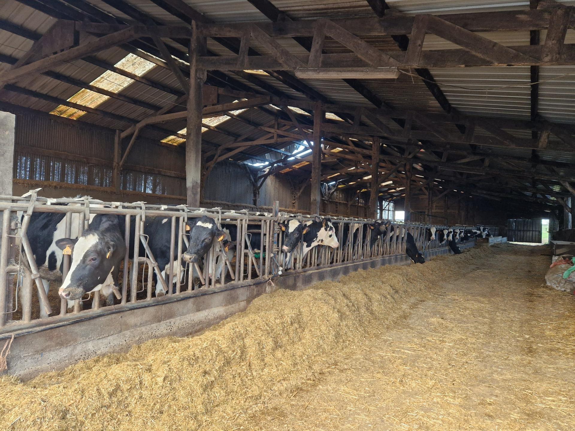 Miniature photo - 3 / 8