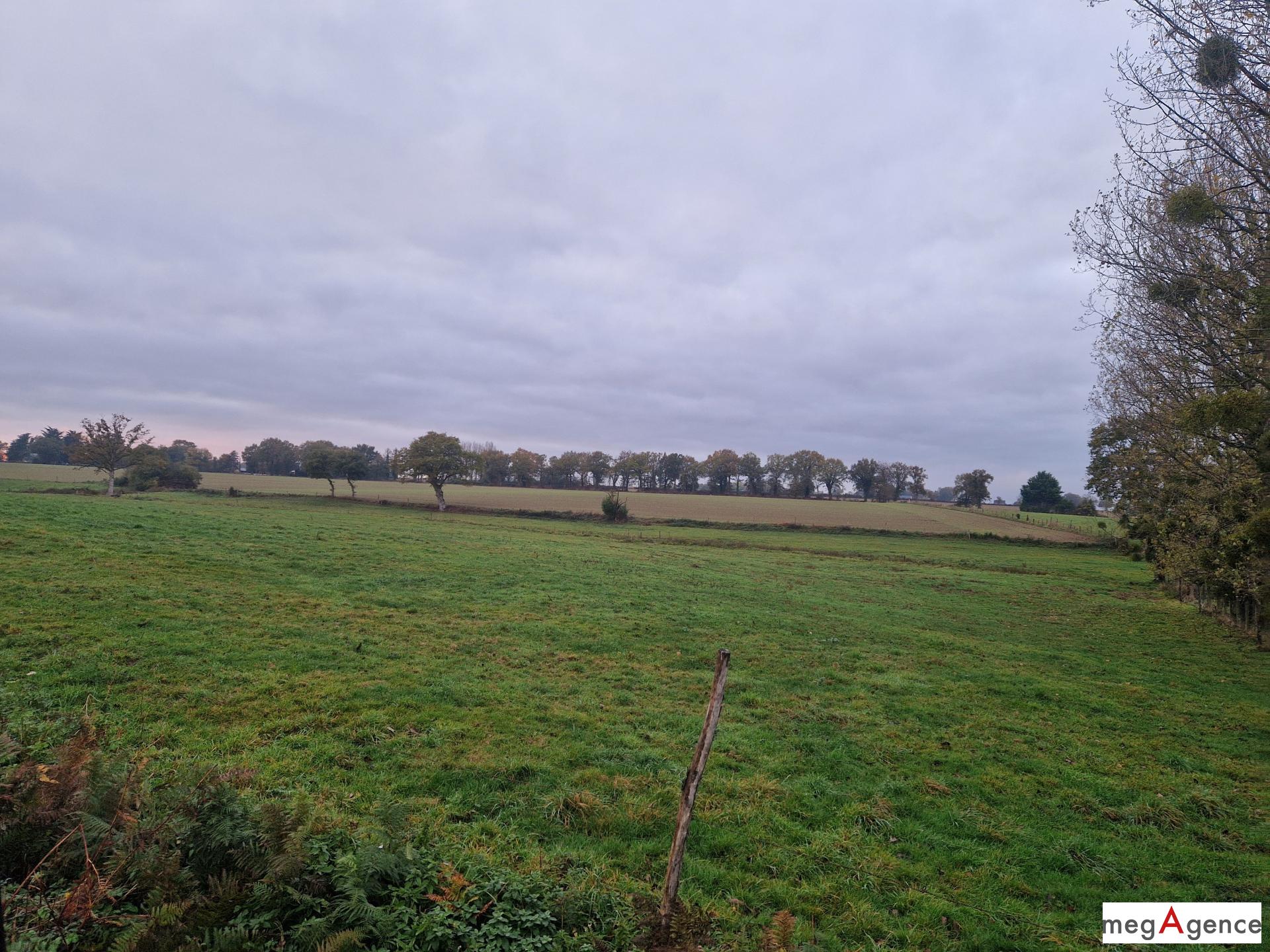 Miniature photo - 7 / 8