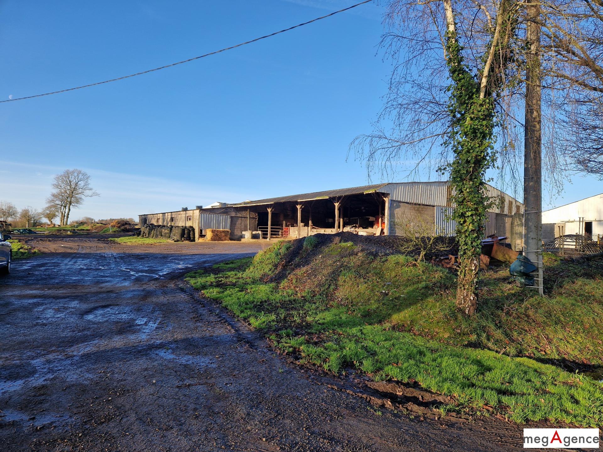 Miniature photo - 8 / 8