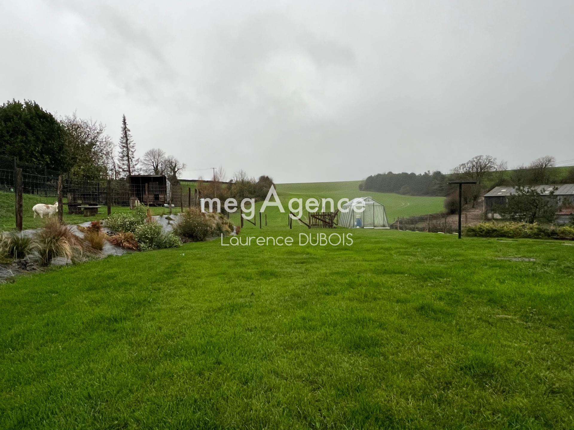 Miniature photo - 16 / 16