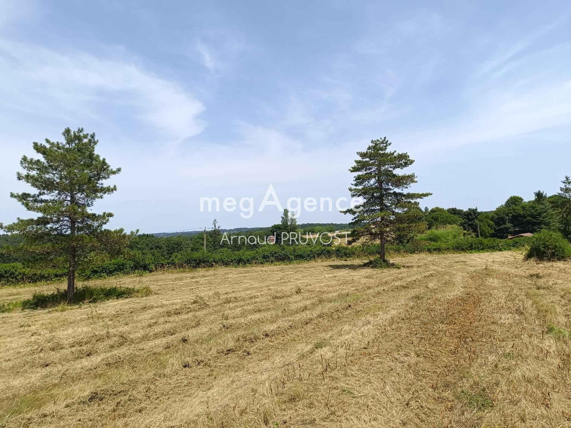 Miniature photo - 5 / 7