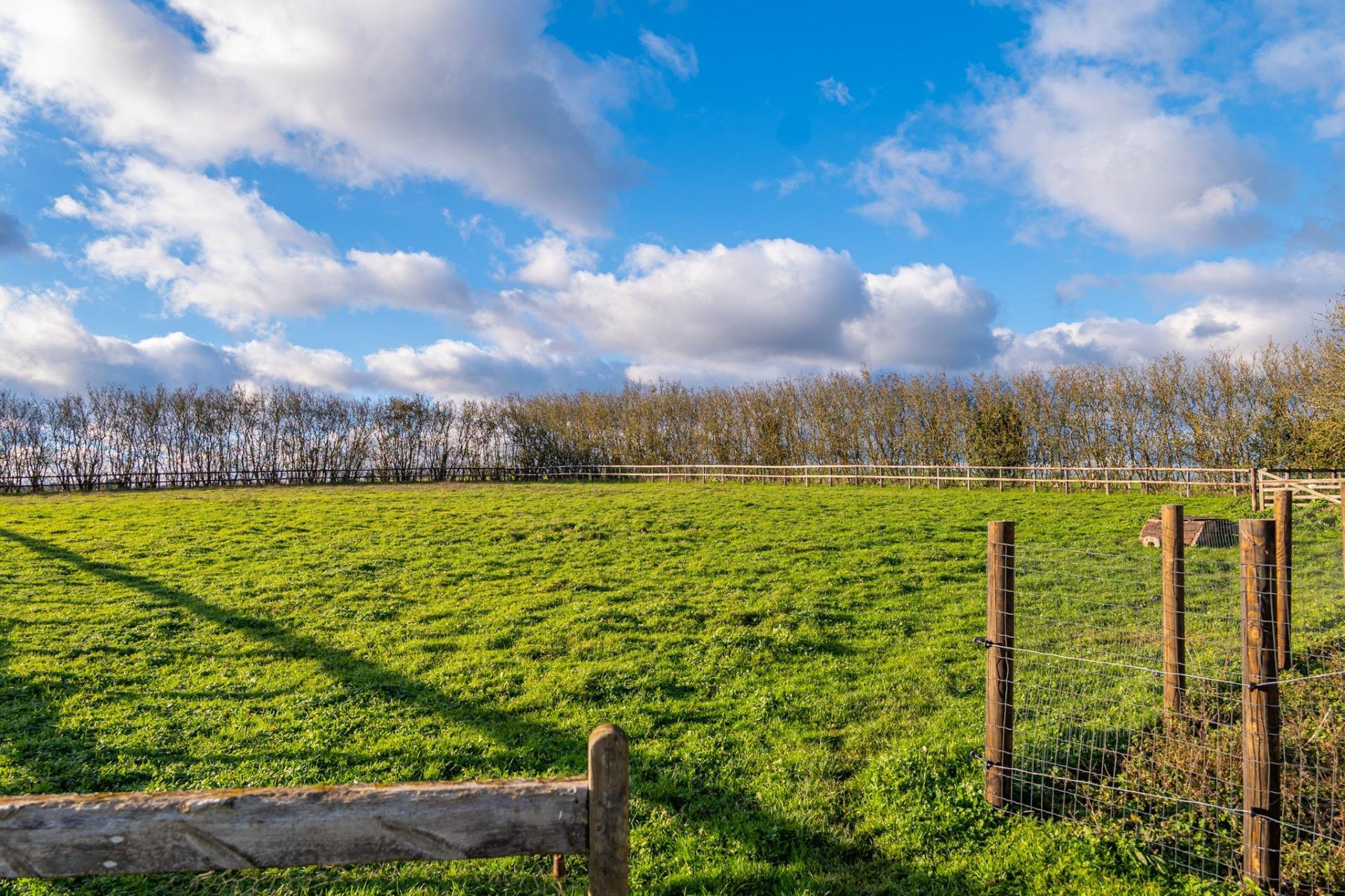 Miniature photo - 15 / 17