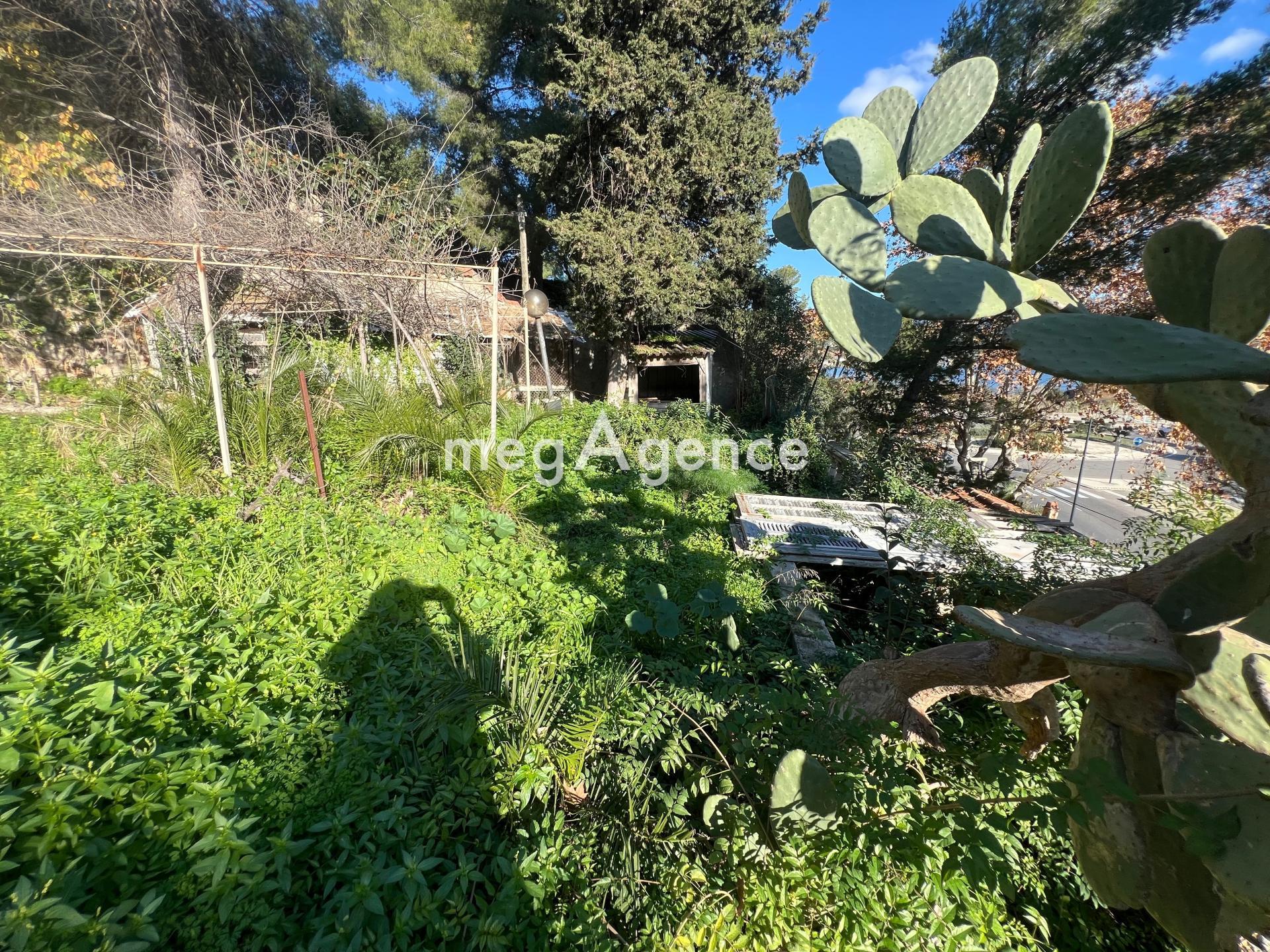 Miniature photo - 19 / 19