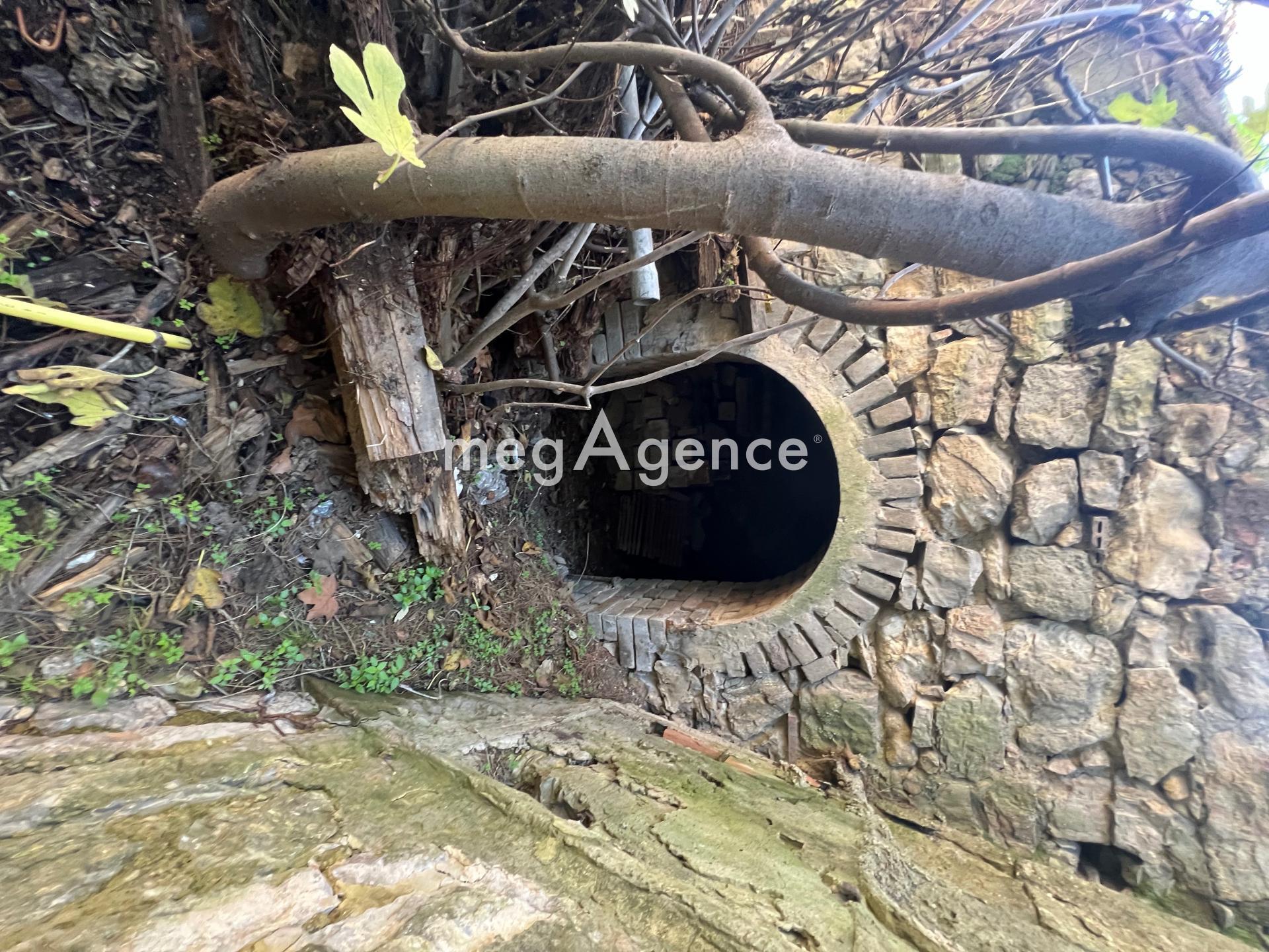 Miniature photo - 8 / 19