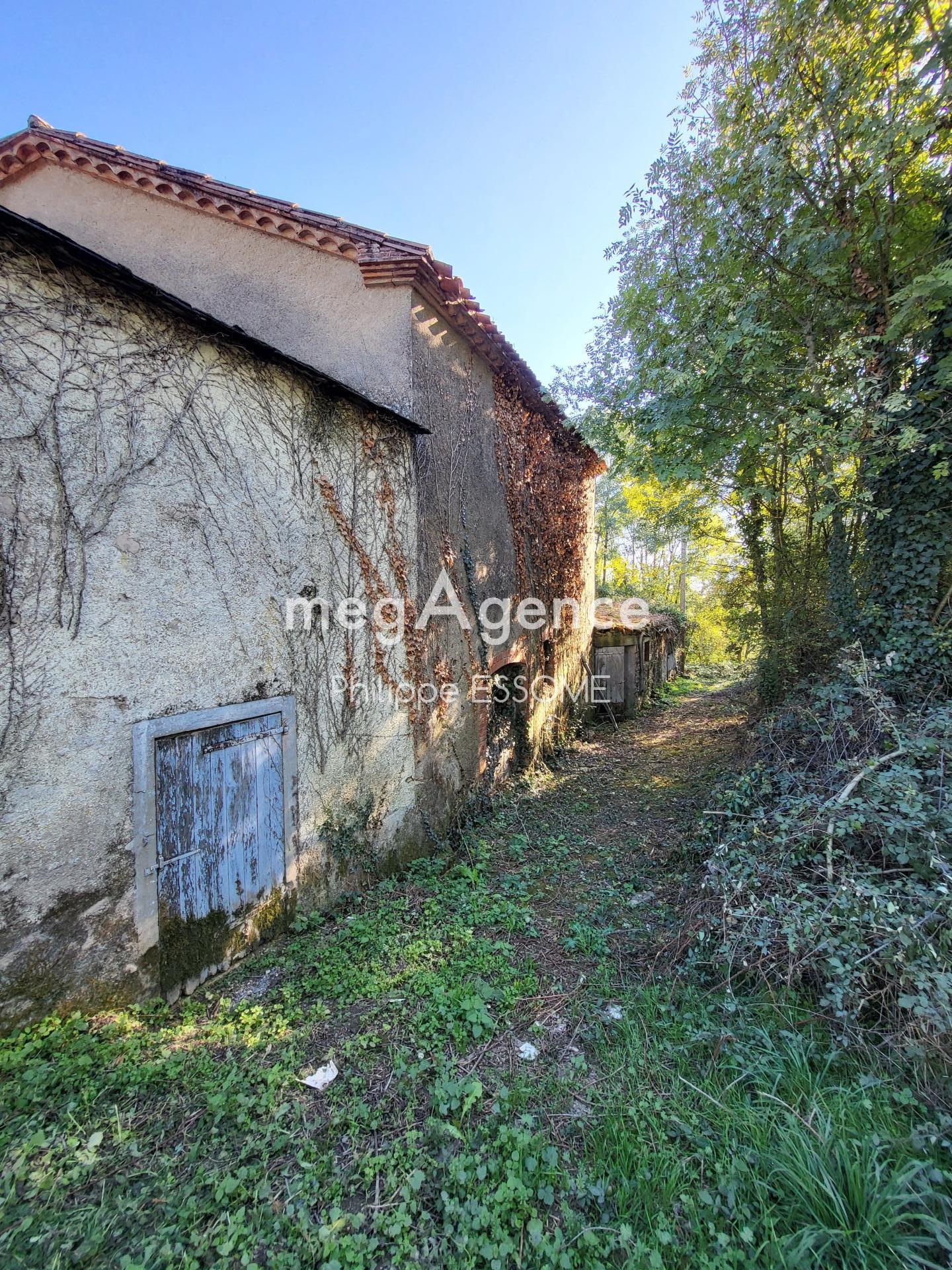 Miniature photo - 10 / 15