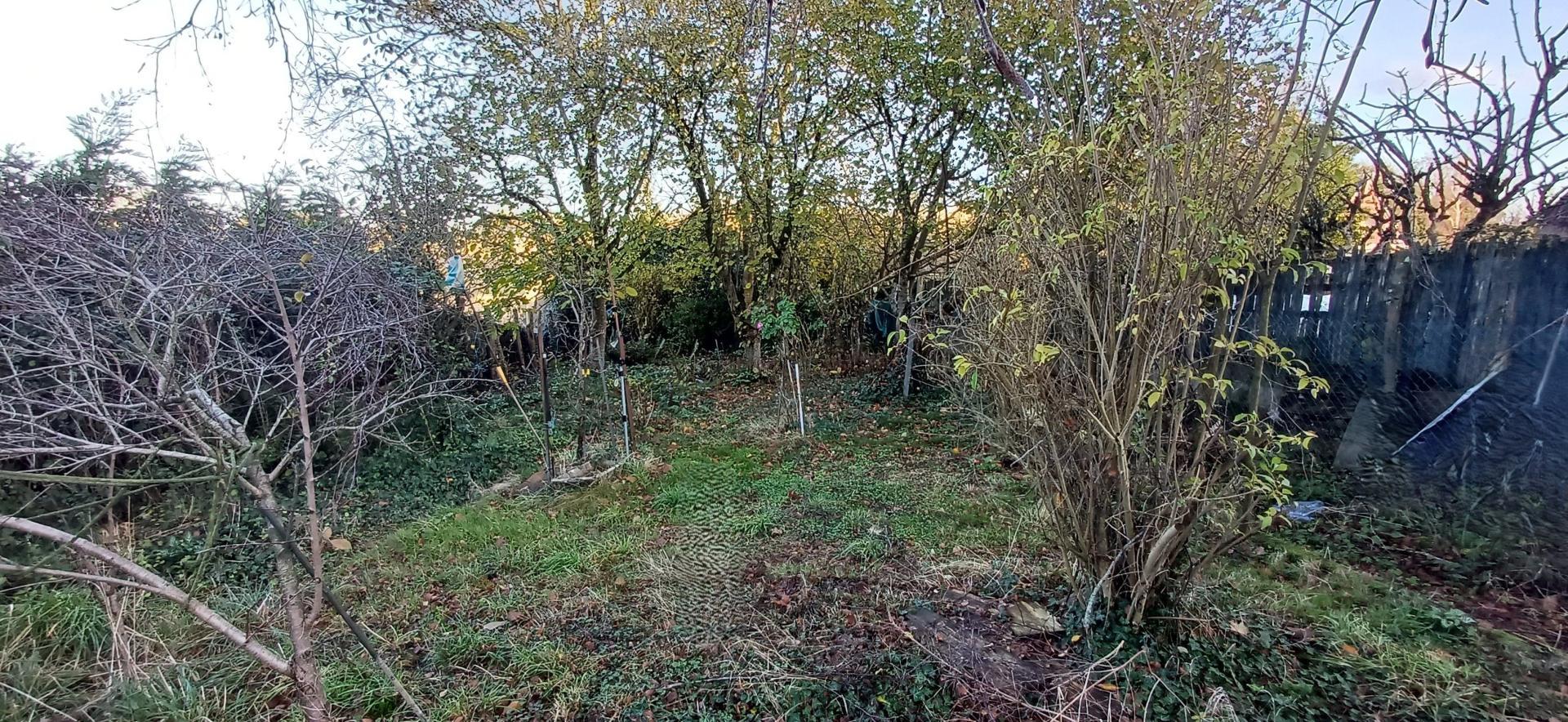 Miniature photo - 4 / 10