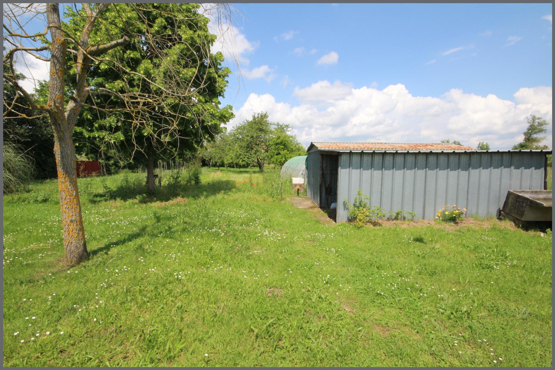 Miniature photo - 12 / 15