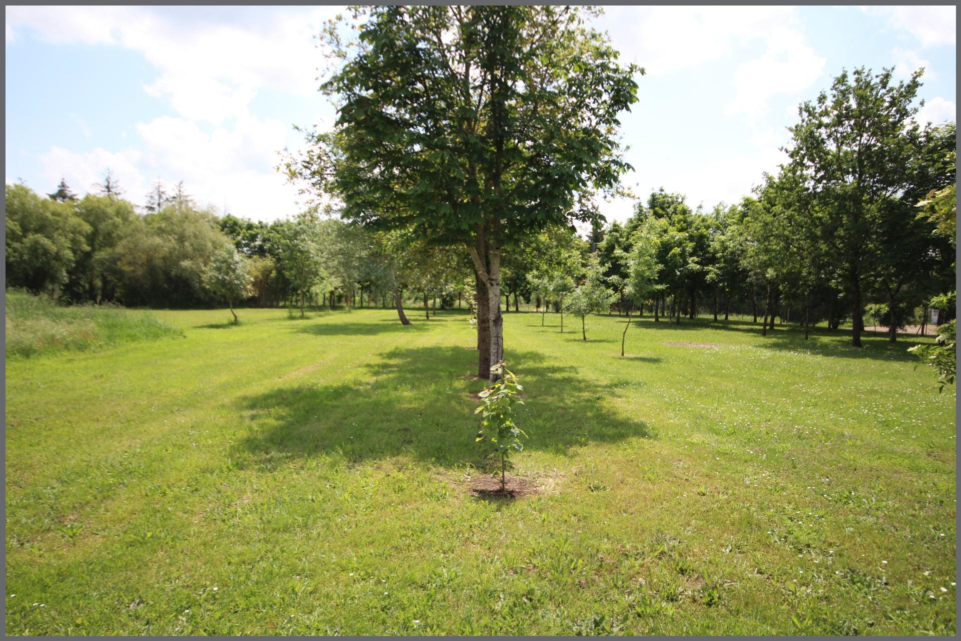 Miniature photo - 15 / 15