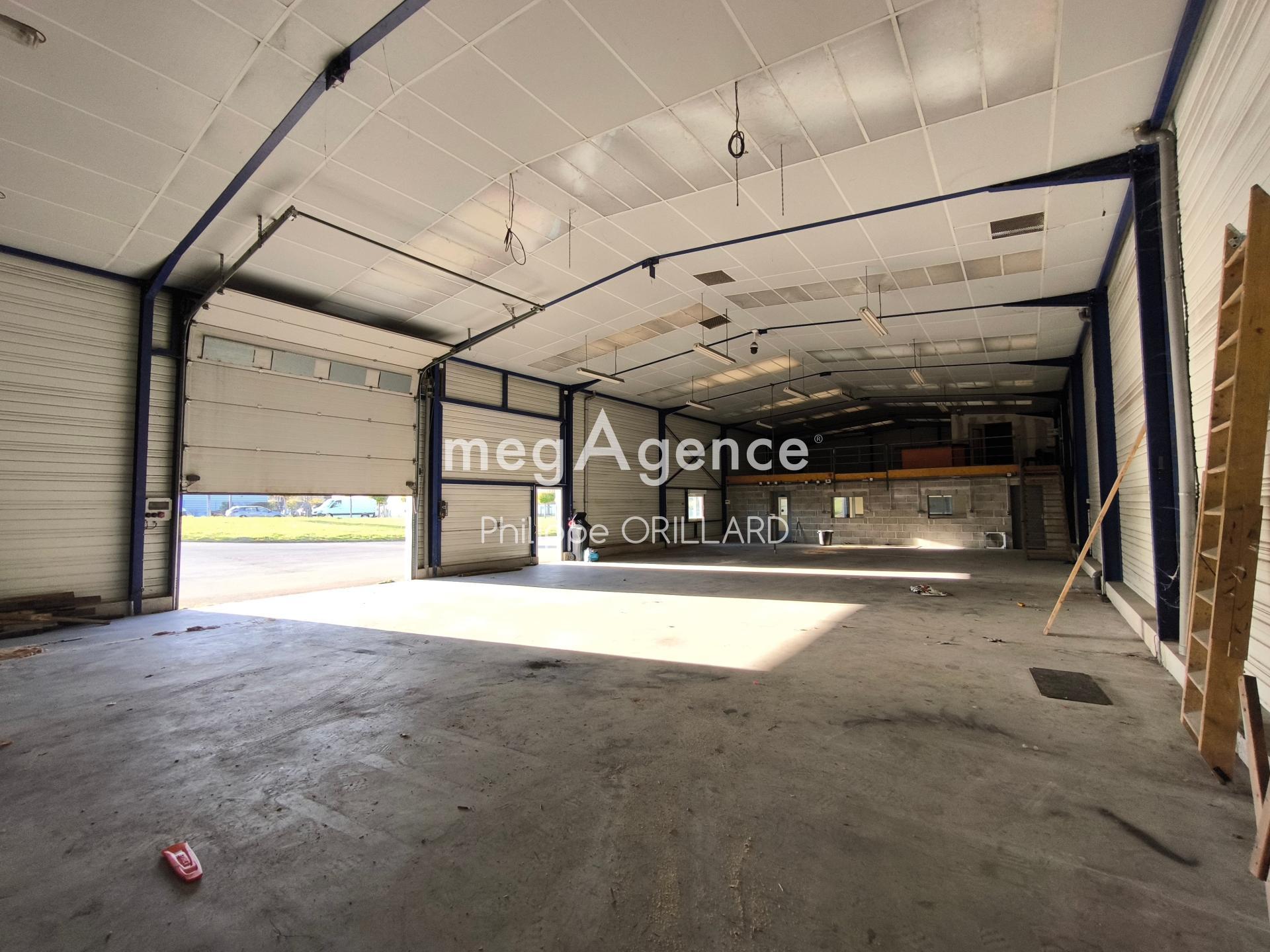 Miniature photo - 4 / 7