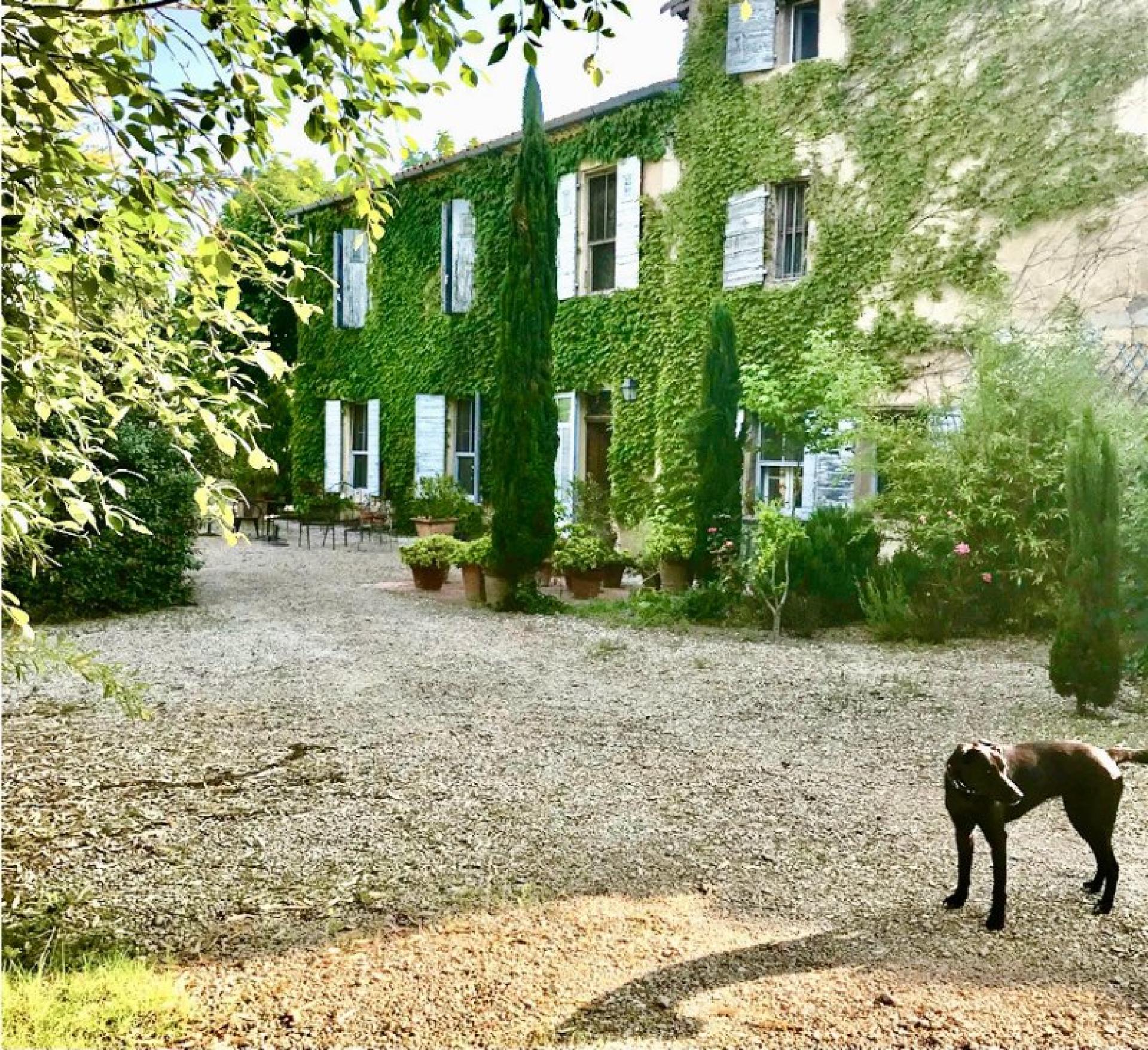 Miniature photo - 3 / 16