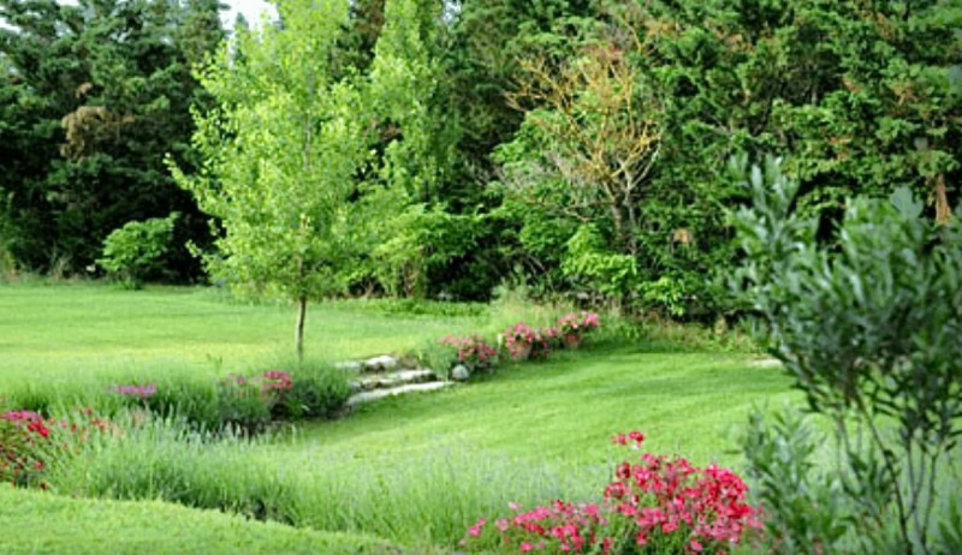 Miniature photo - 14 / 16