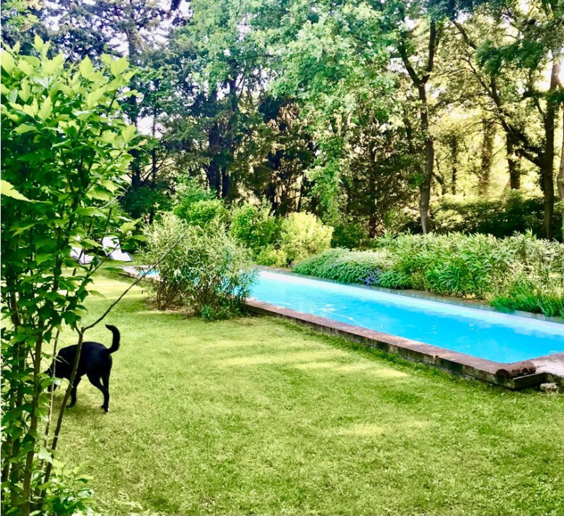 Miniature photo - 5 / 16