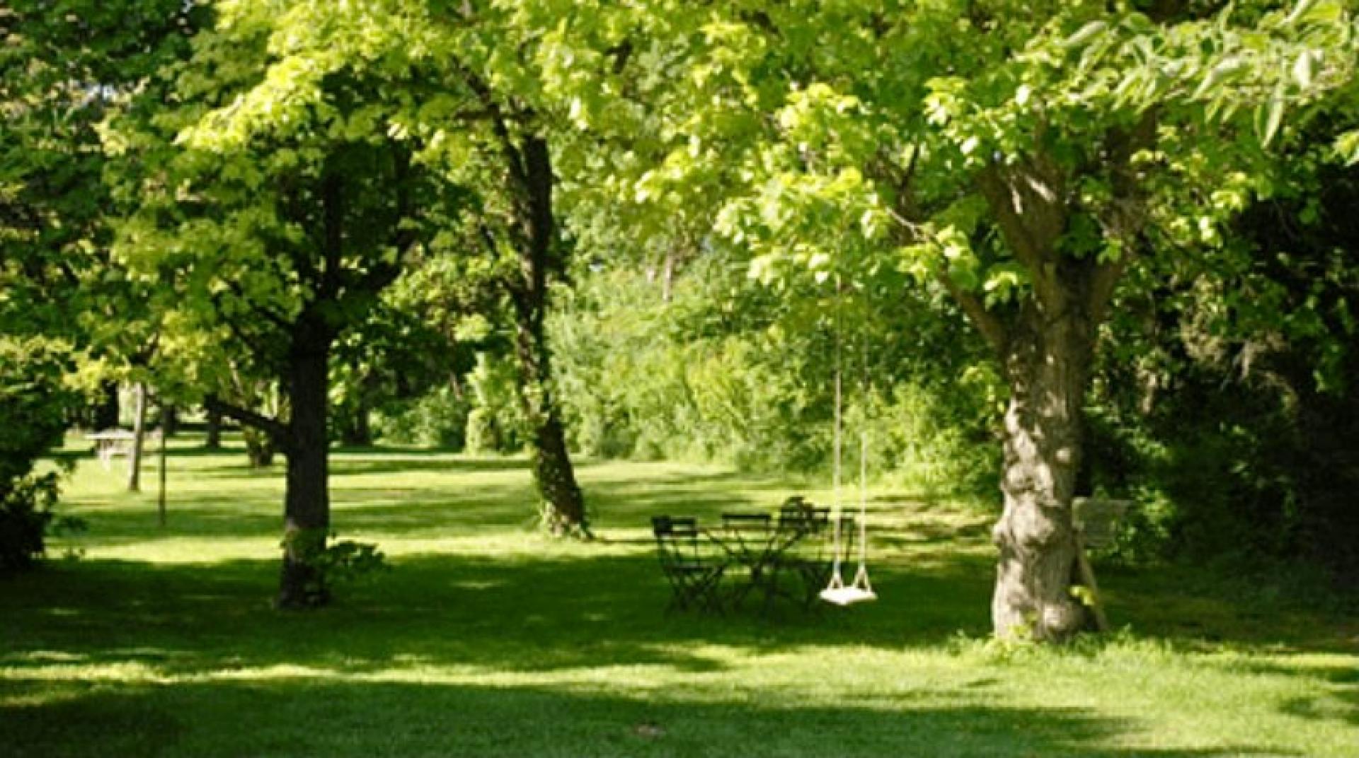 Miniature photo - 15 / 16