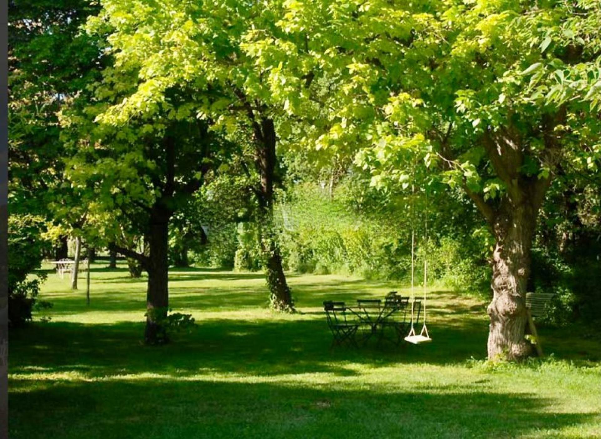 Miniature photo - 12 / 16