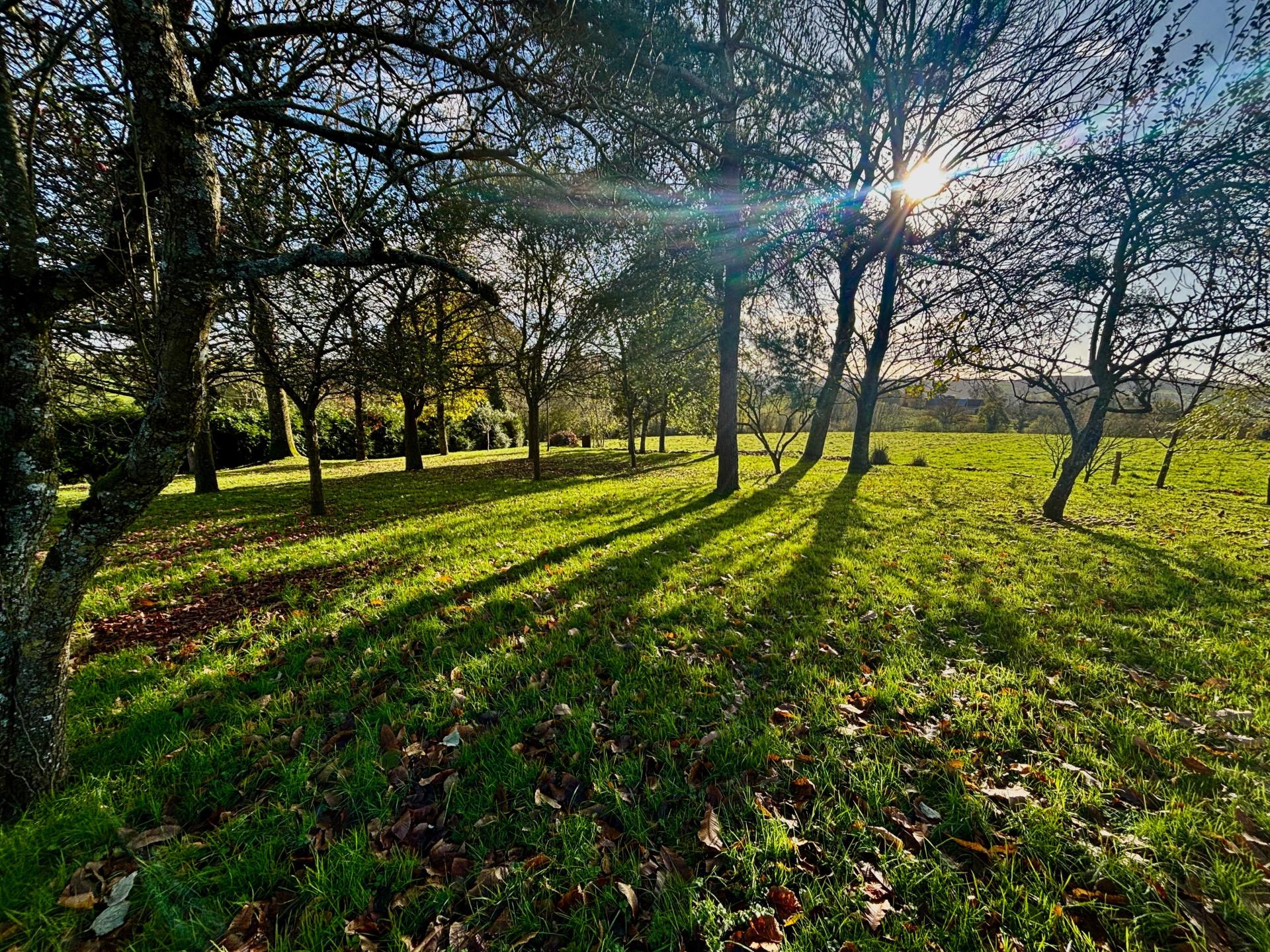 Miniature photo - 17 / 17