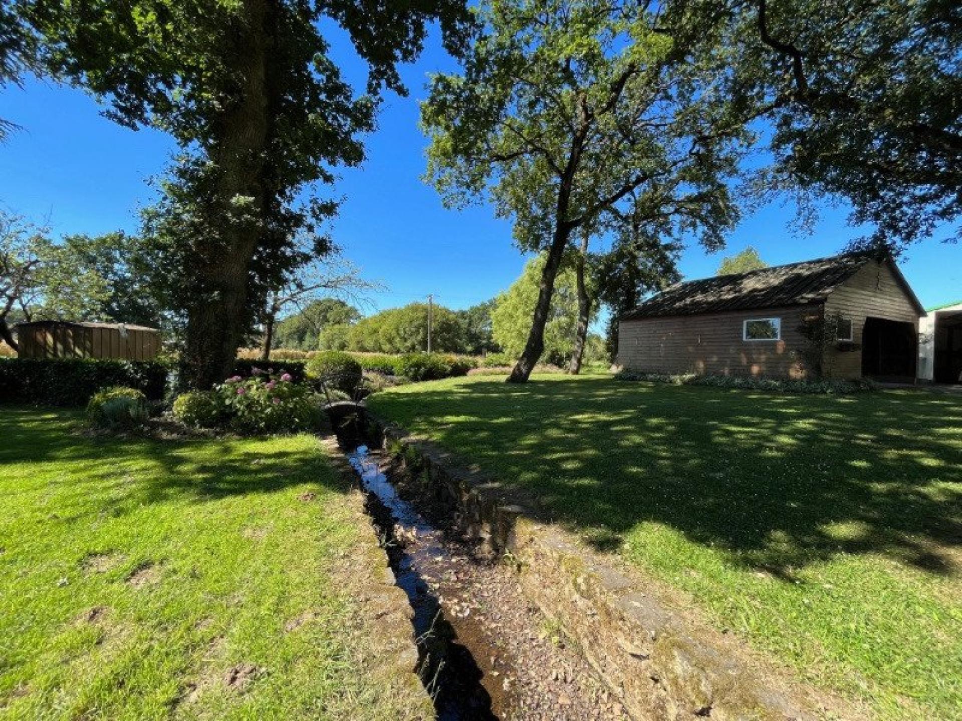 Miniature photo - 10 / 12