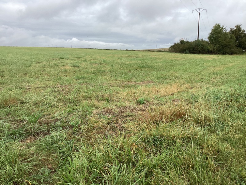 Miniature photo - 4 / 4