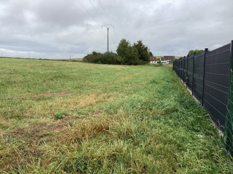 Miniature photo - 3 / 4