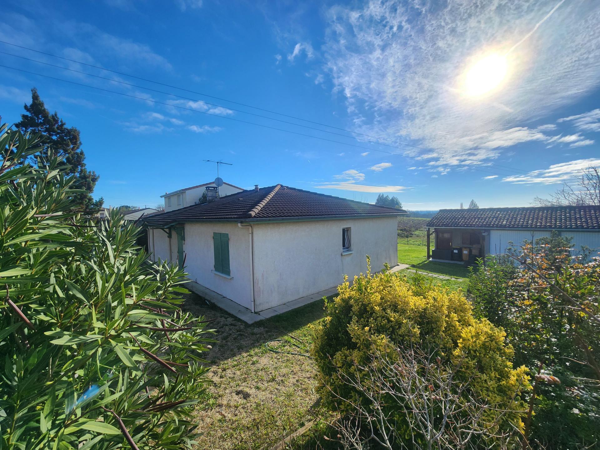 Miniature photo - 2 / 12