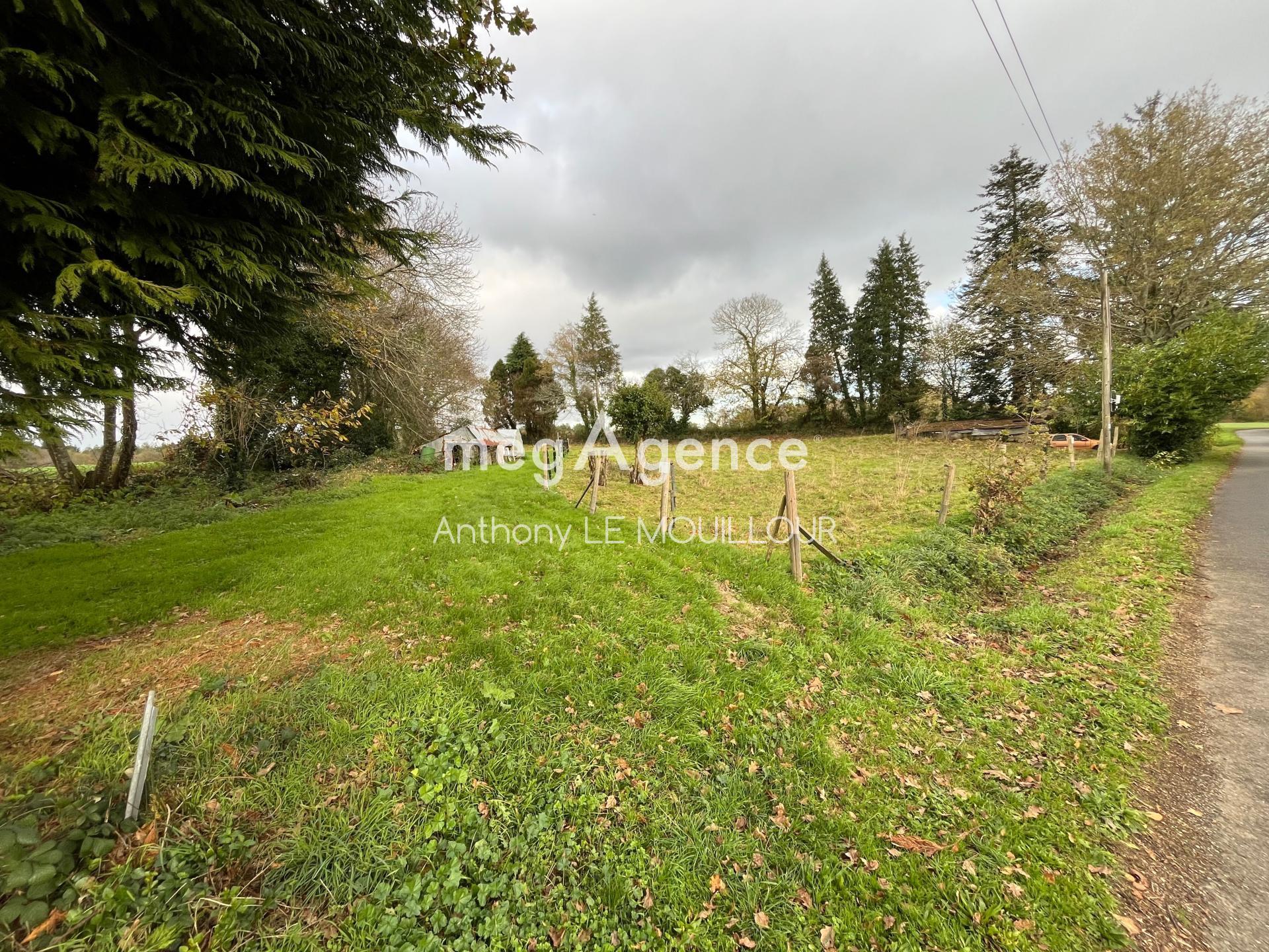 Miniature photo - 12 / 20