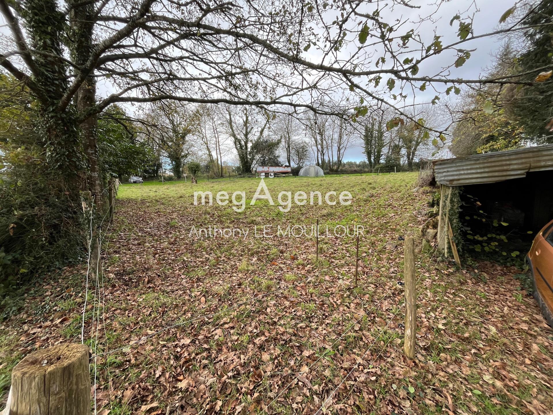 Miniature photo - 13 / 20