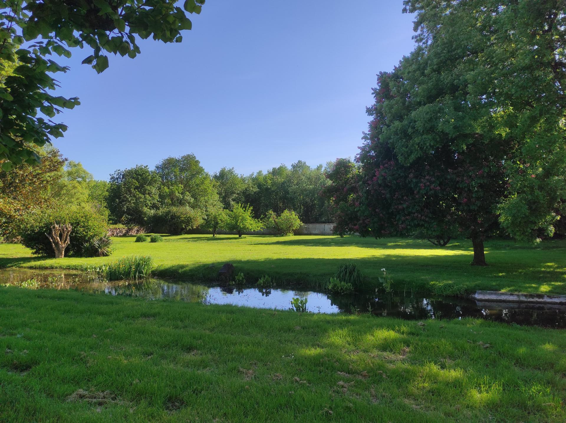 Miniature photo - 4 / 16