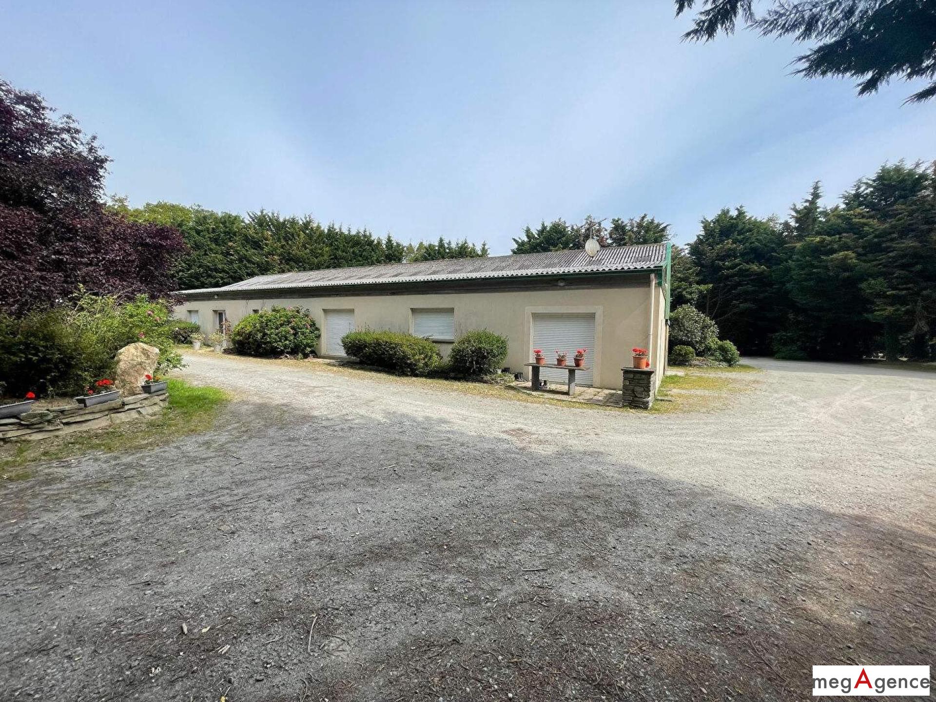 Miniature photo - 7 / 7