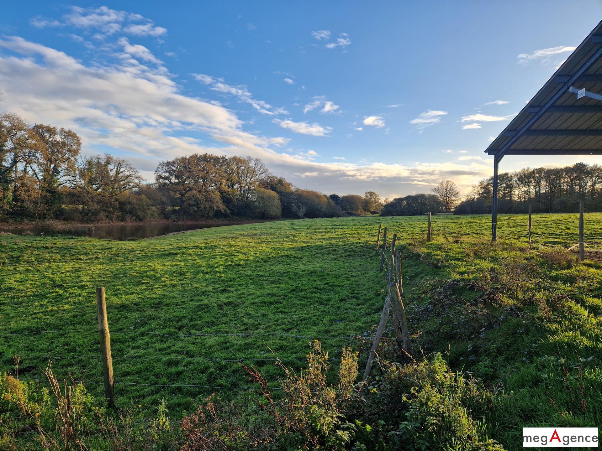 Miniature photo - 3 / 7