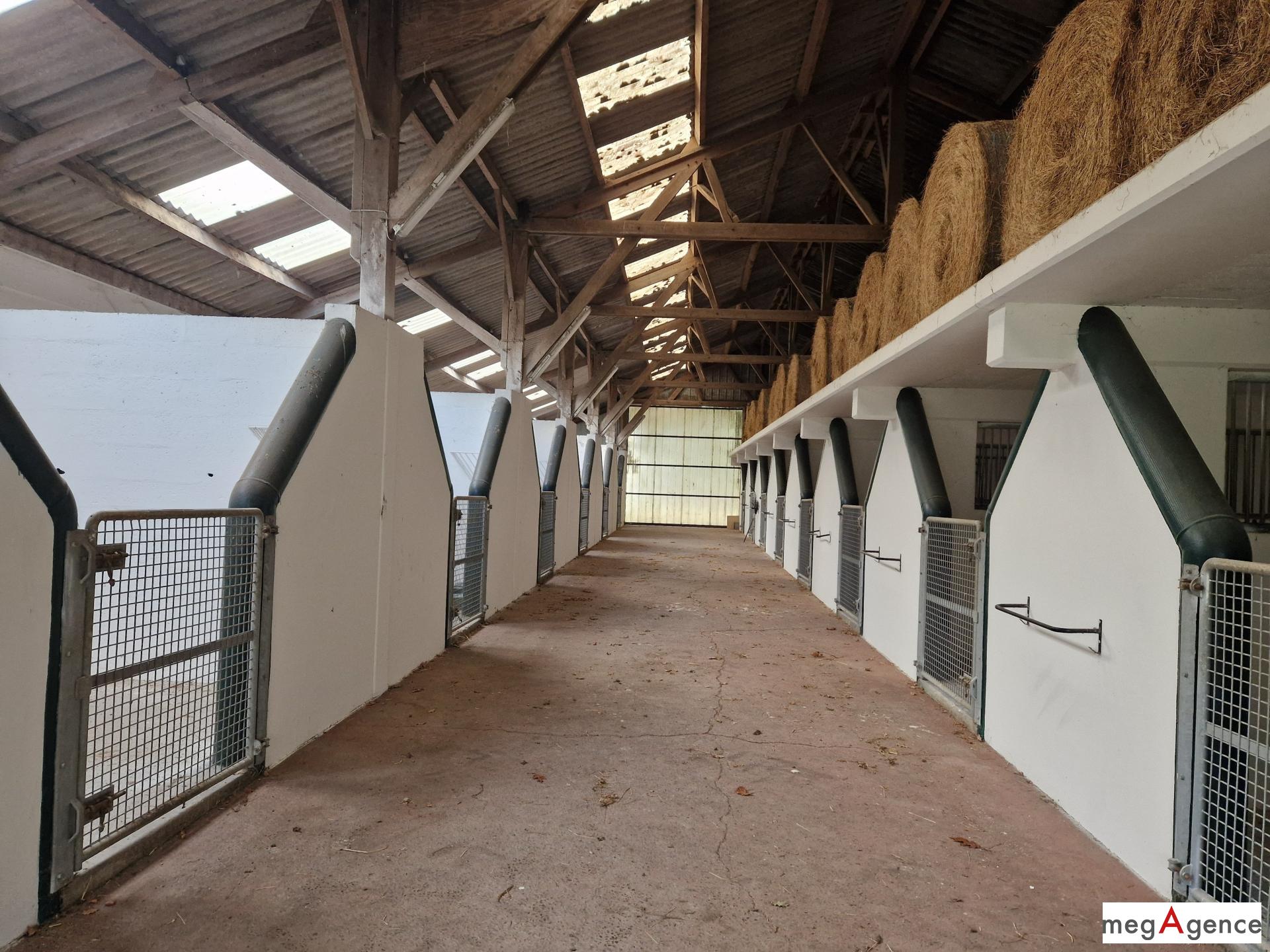 Miniature photo - 2 / 7