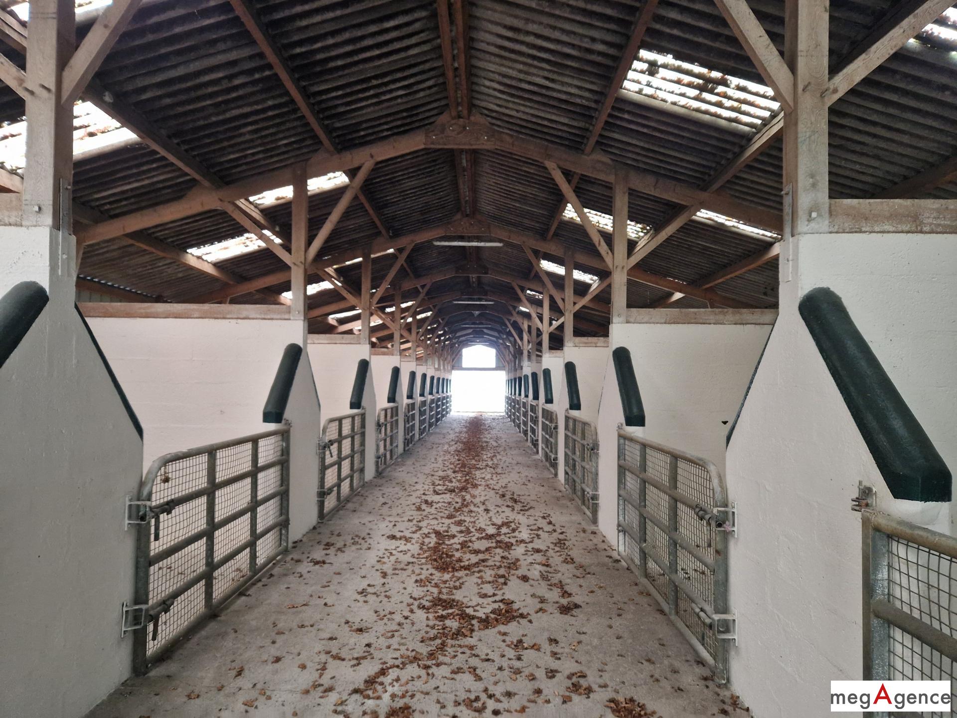 Miniature photo - 5 / 7