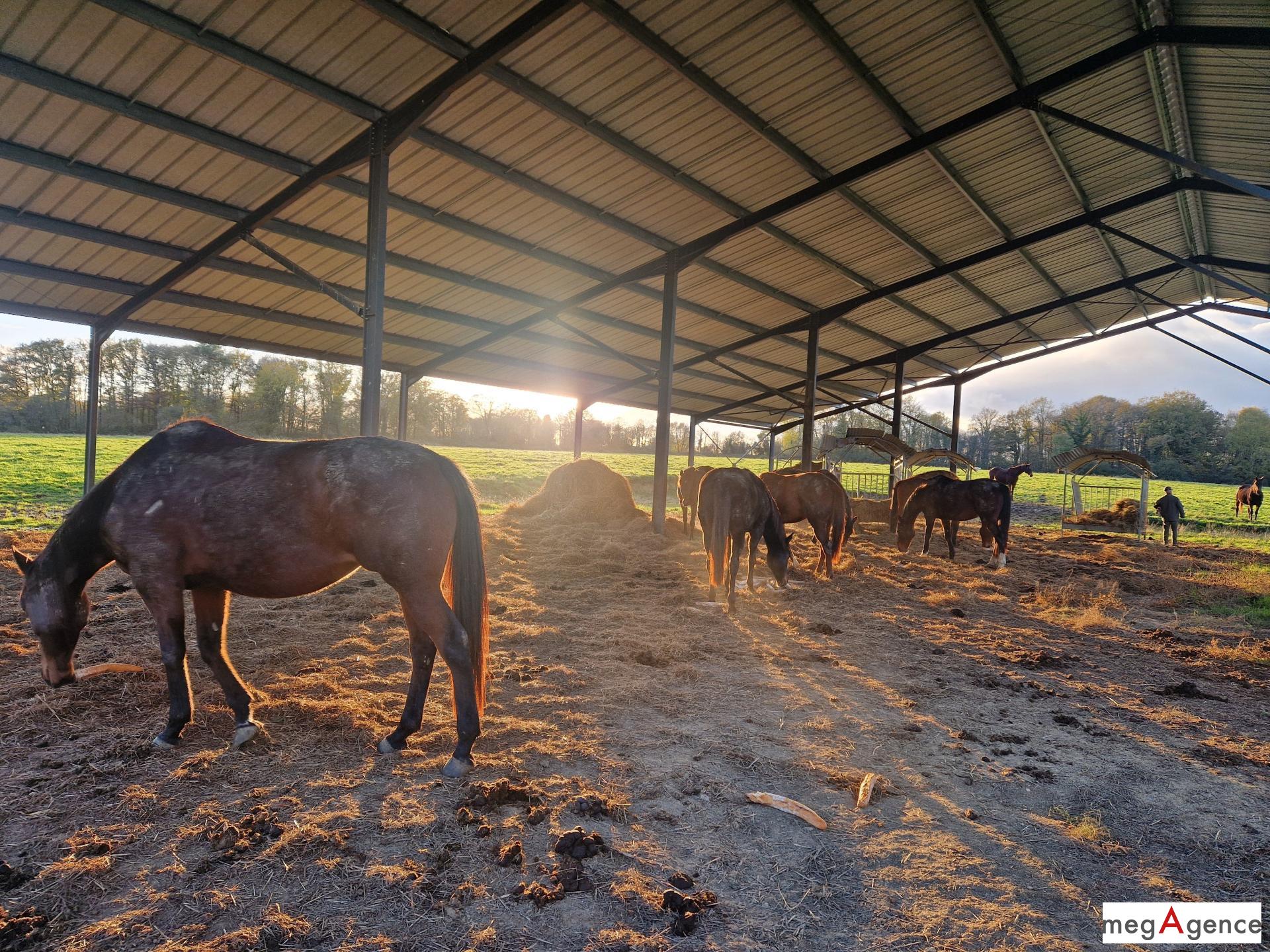 Photographie descriptive du bien