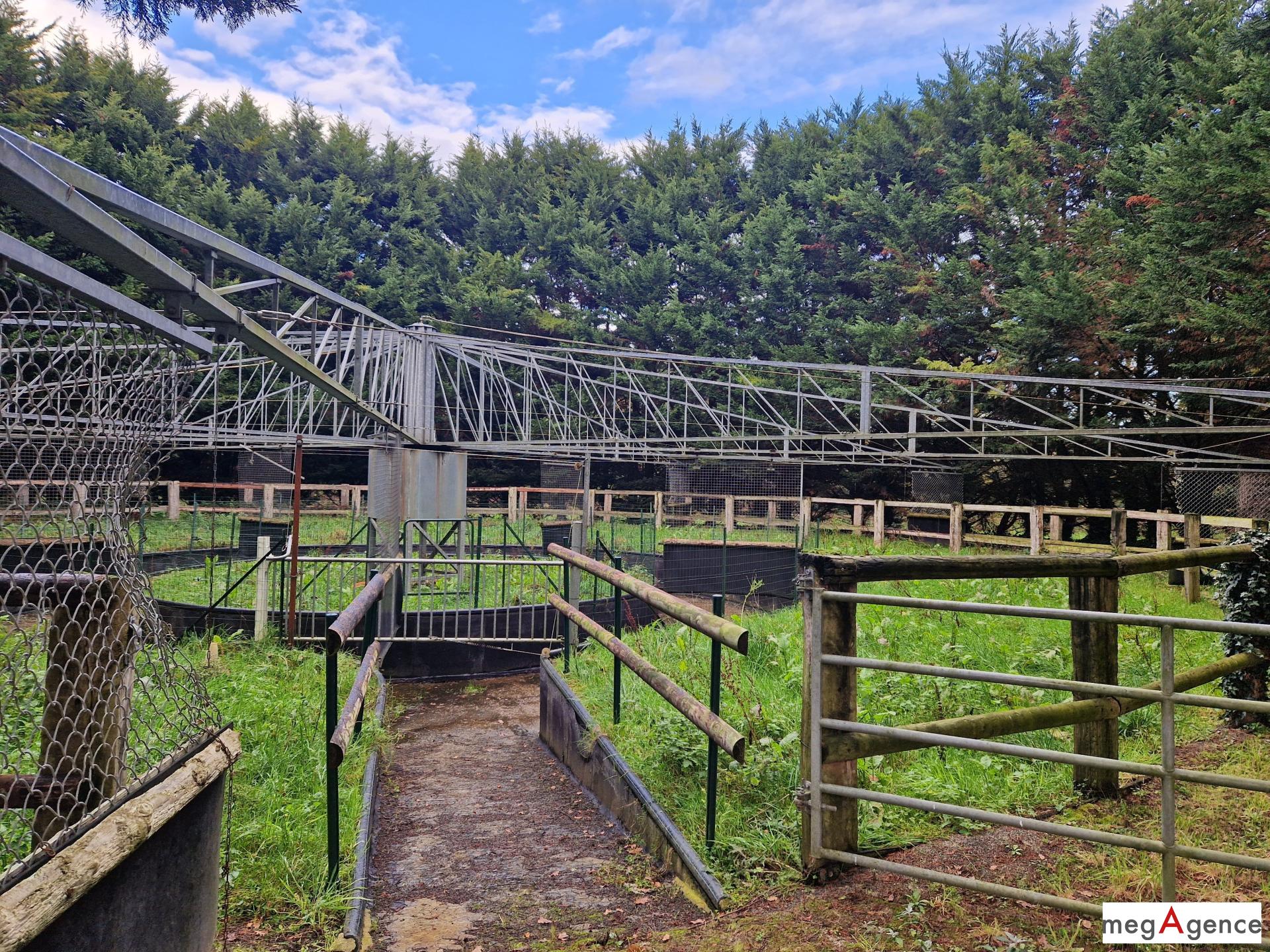 Miniature photo - 4 / 7