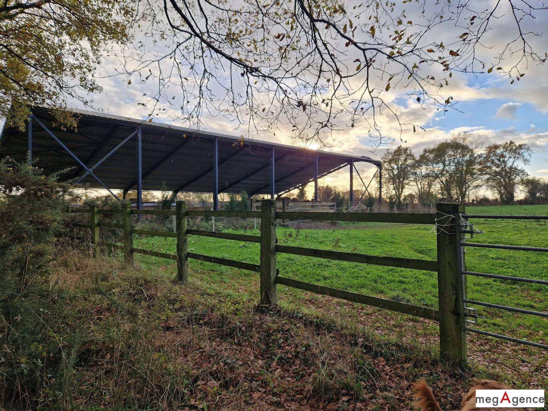 Miniature photo - 6 / 7