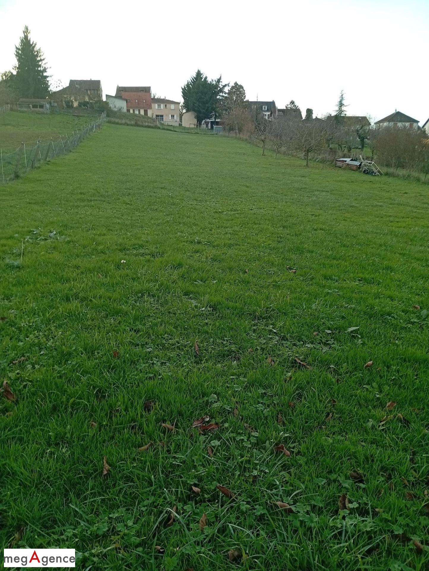 Miniature photo - 2 / 2