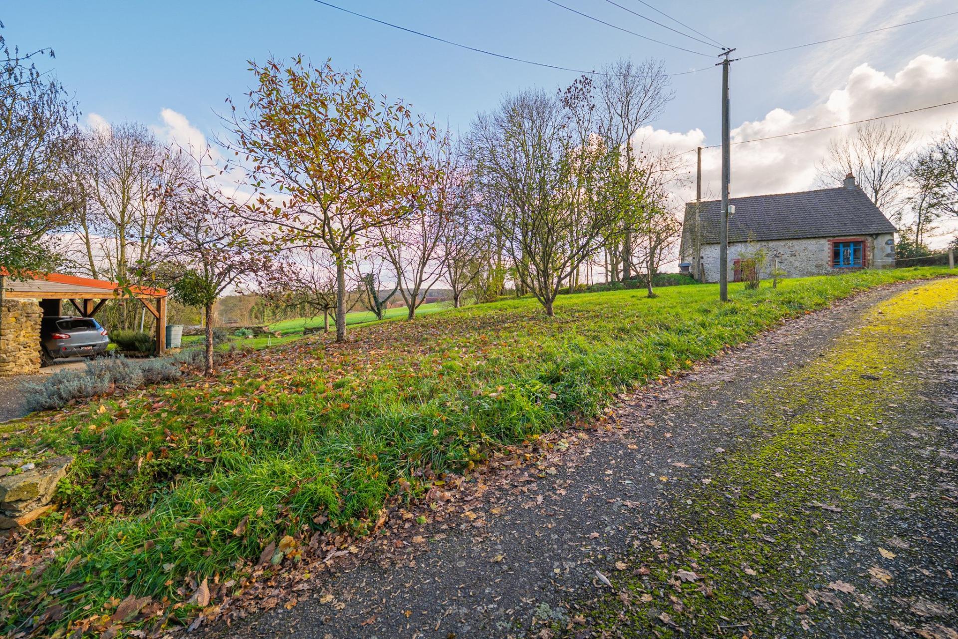 Miniature photo - 12 / 14