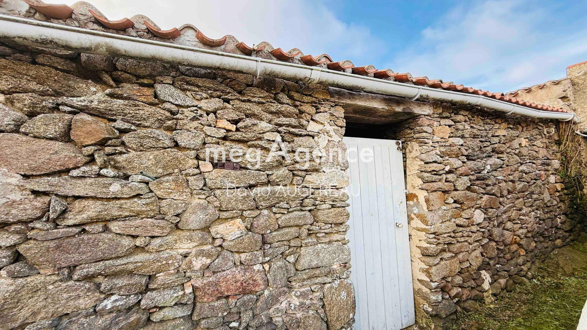 Miniature photo - 4 / 15