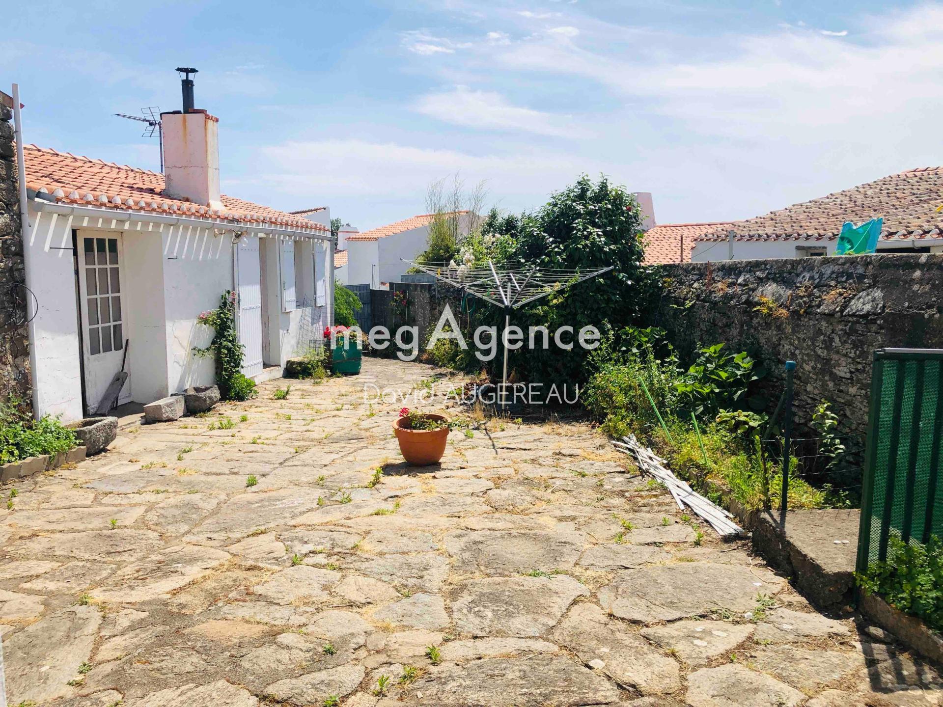 Miniature photo - 3 / 15