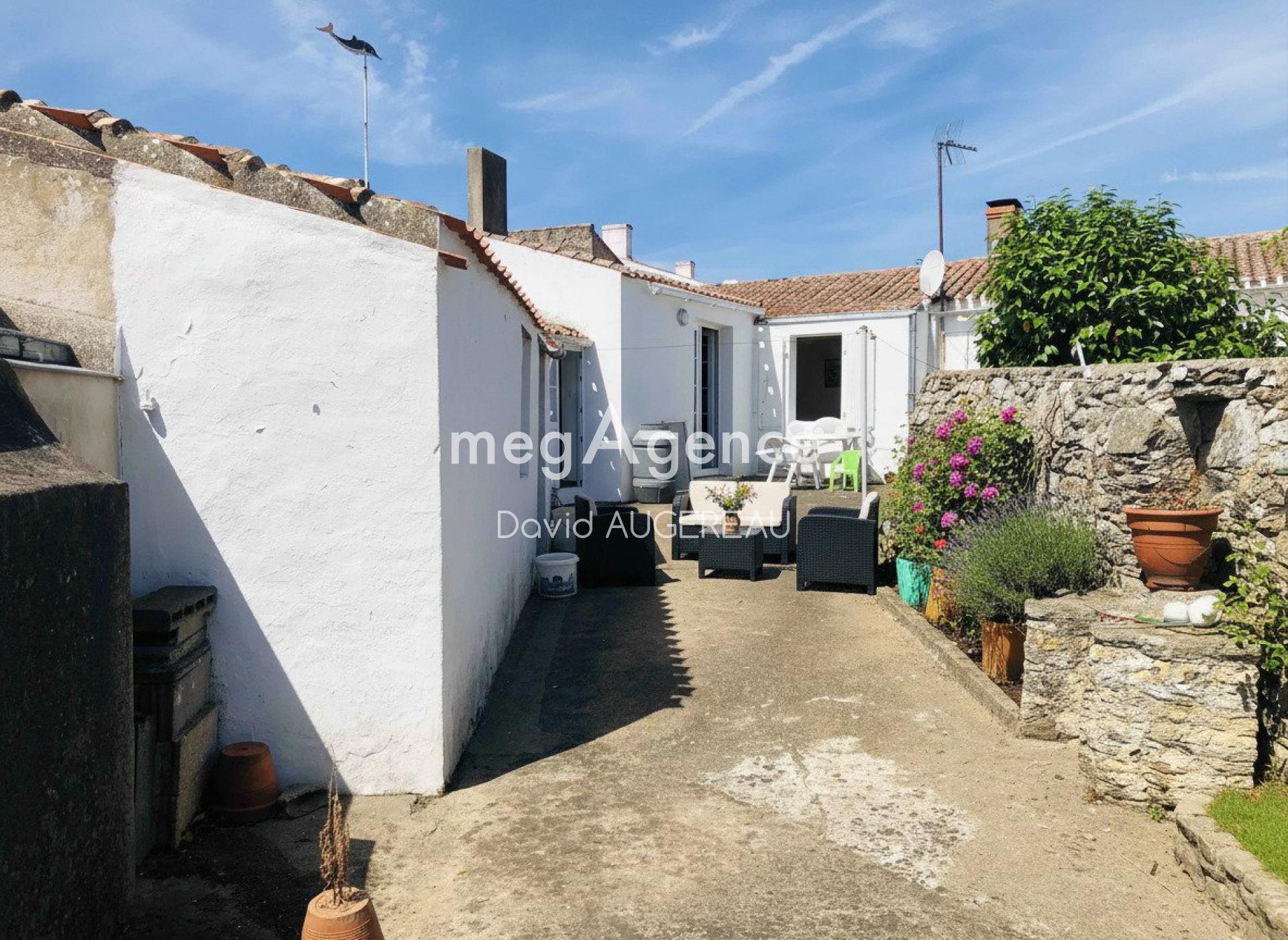 Miniature photo - 2 / 15