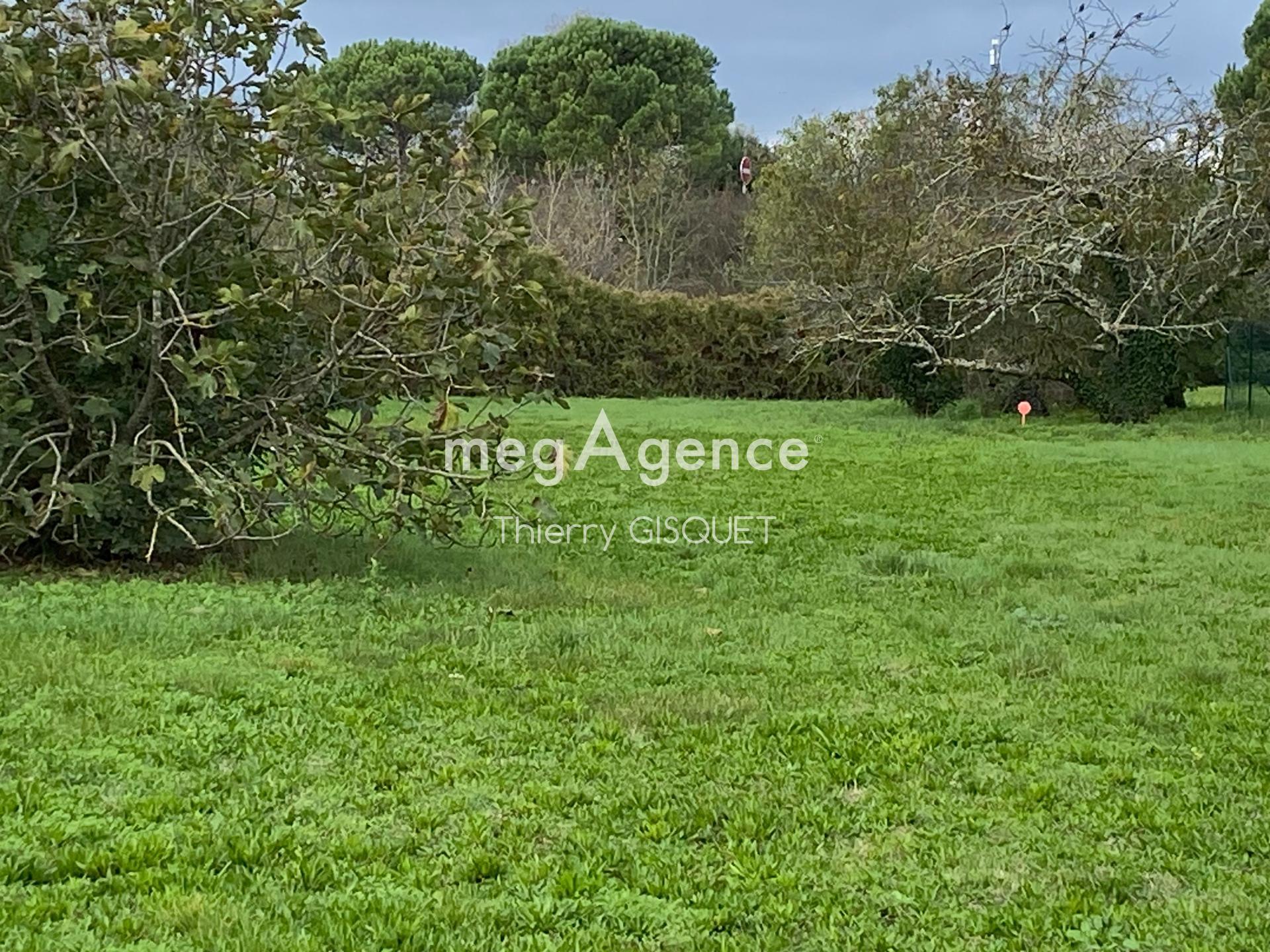 Miniature photo - 3 / 4